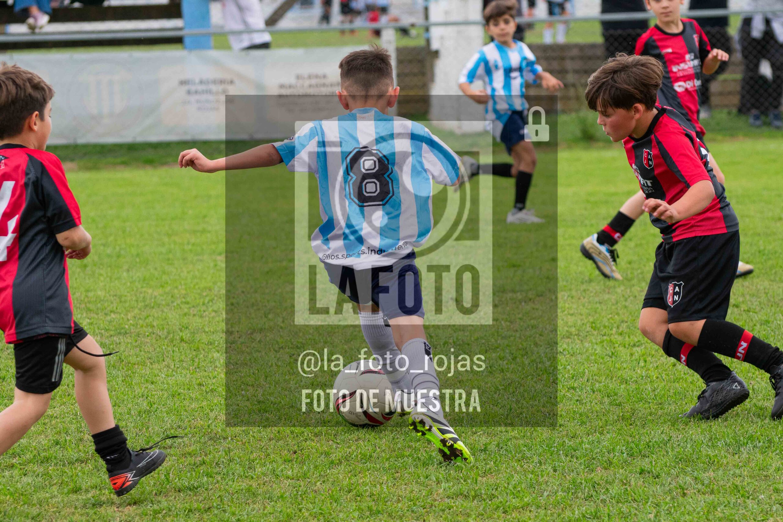 Fotografía 2017-ARG-NEW-133-scaled de ARGENTINO - NEWBERY / 2017 / 8-11