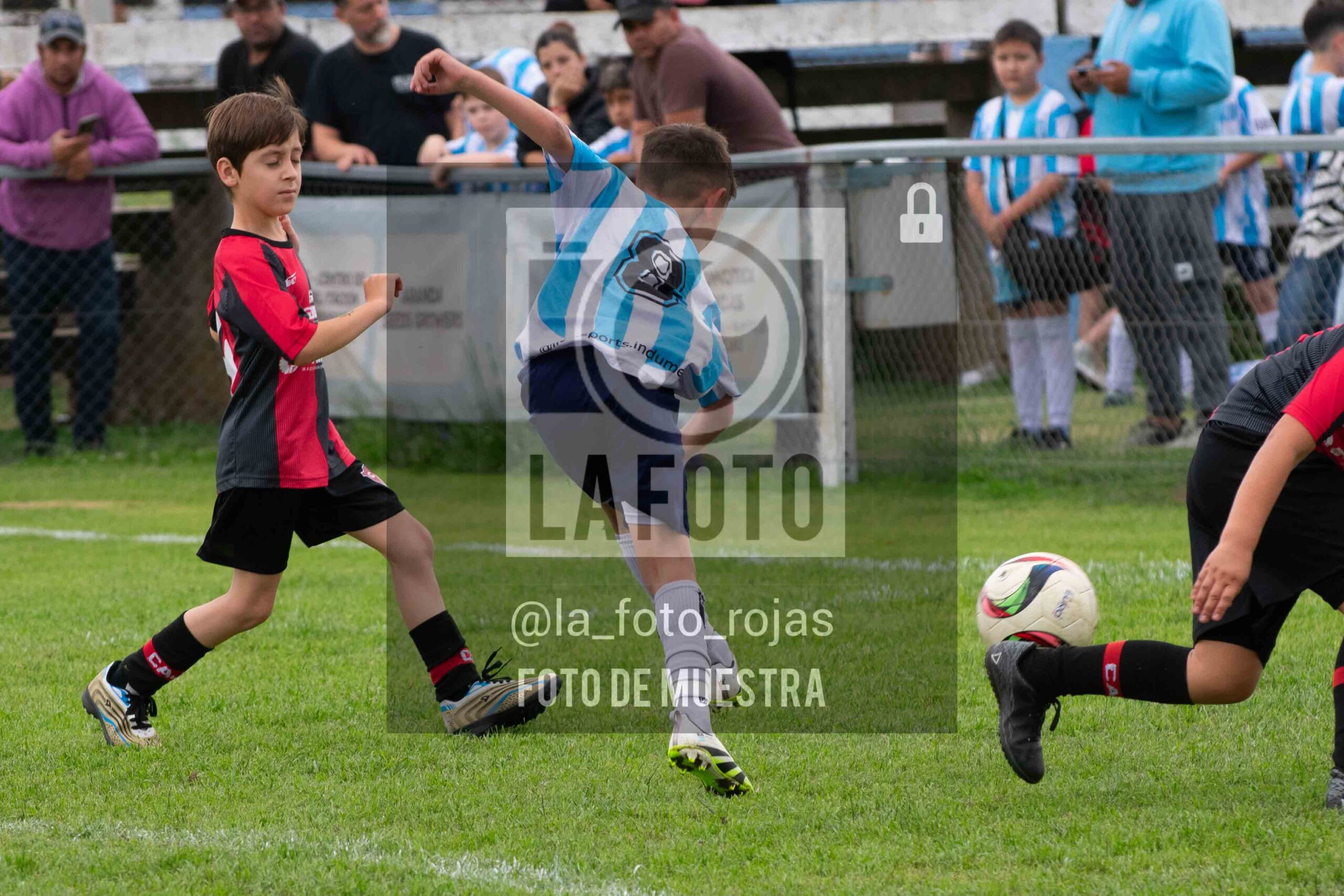 Fotografía 2017-ARG-NEW-135-scaled de ARGENTINO - NEWBERY / 2017 / 8-11