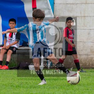 Fotografía 2017-ARG-NEW-14-scaled de ARGENTINO - NEWBERY / 2017 / 8-11