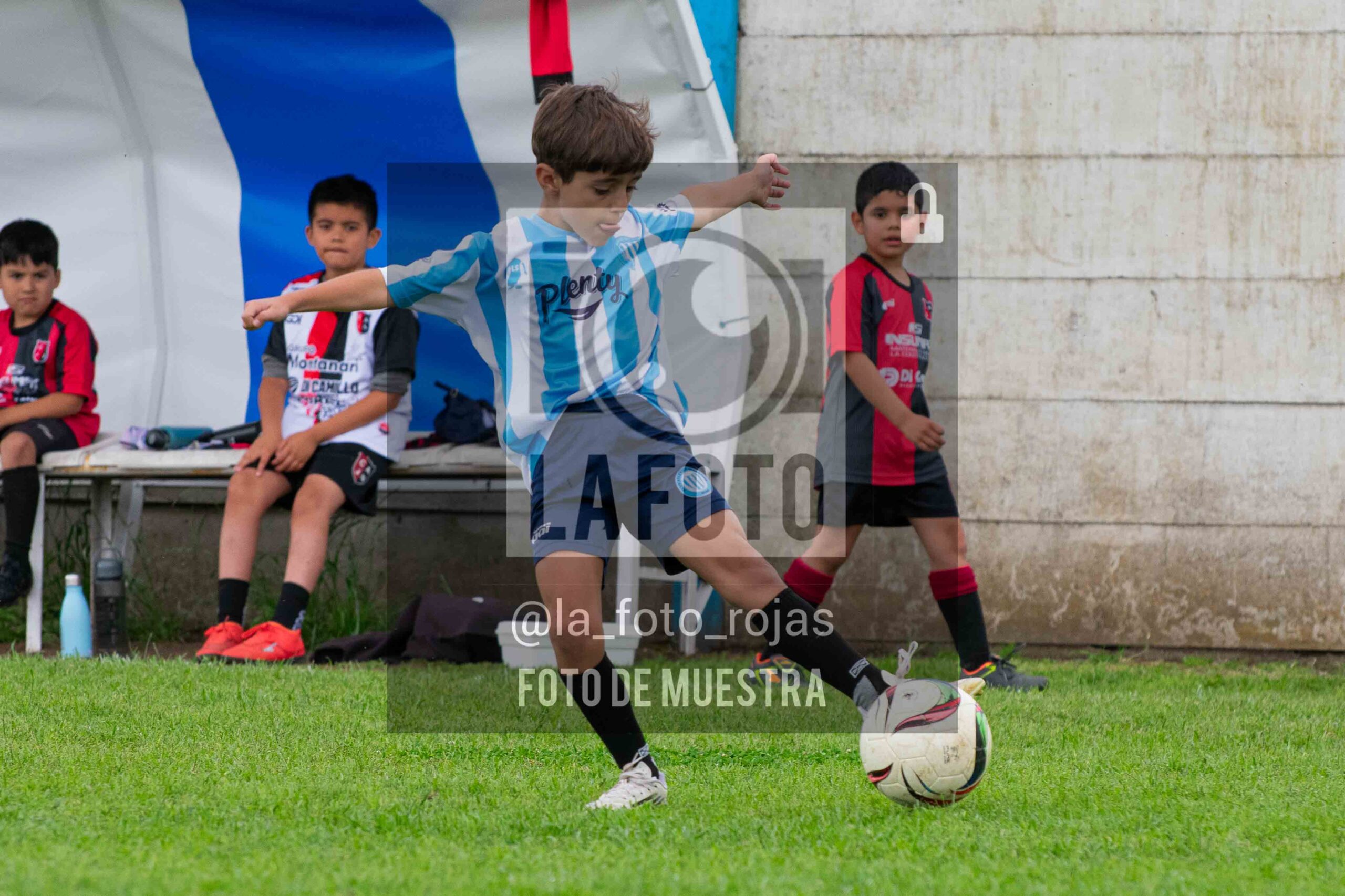 Fotografía 2017-ARG-NEW-14-scaled de ARGENTINO - NEWBERY / 2017 / 8-11
