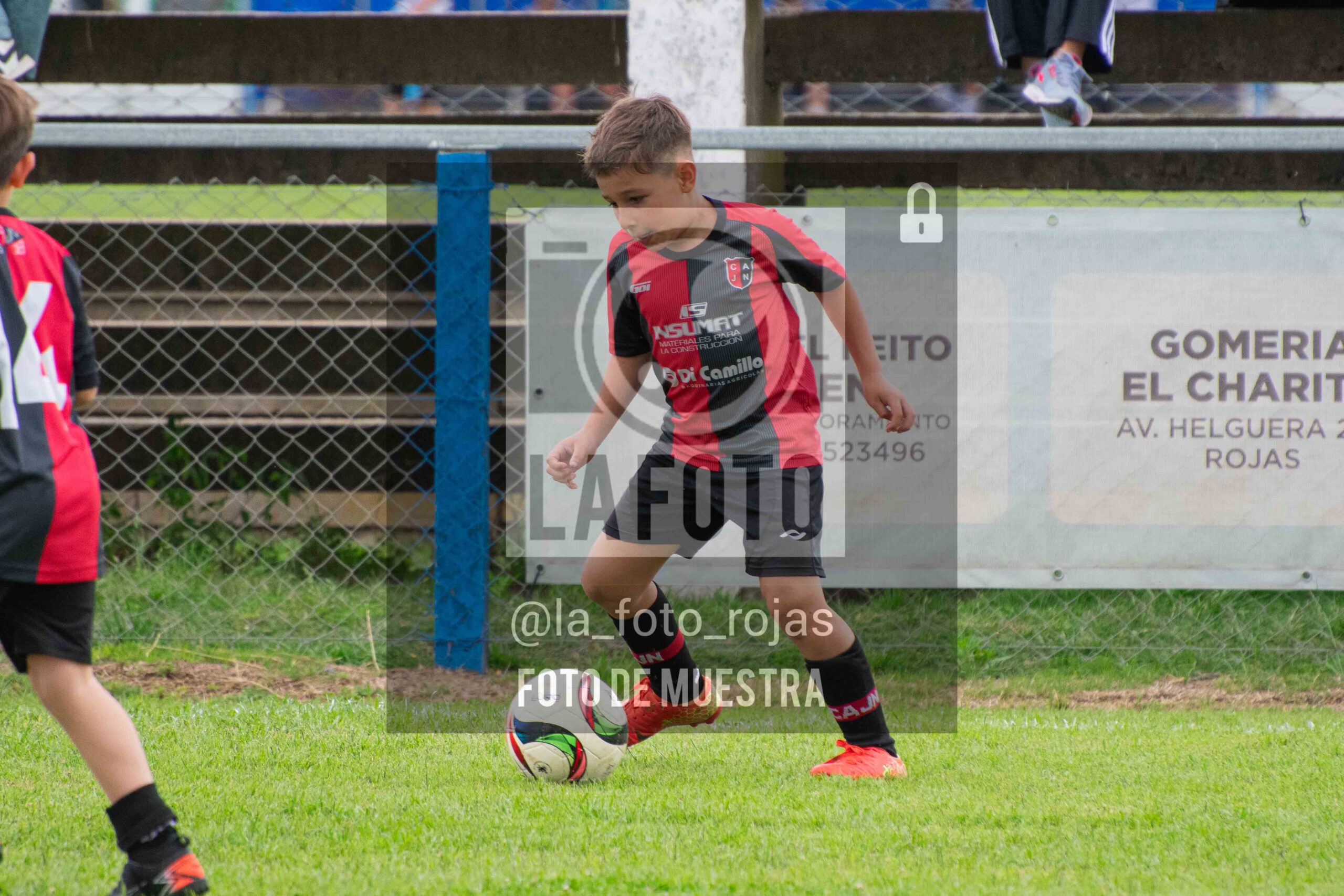 Fotografía 2017-ARG-NEW-143-scaled de ARGENTINO - NEWBERY / 2017 / 8-11