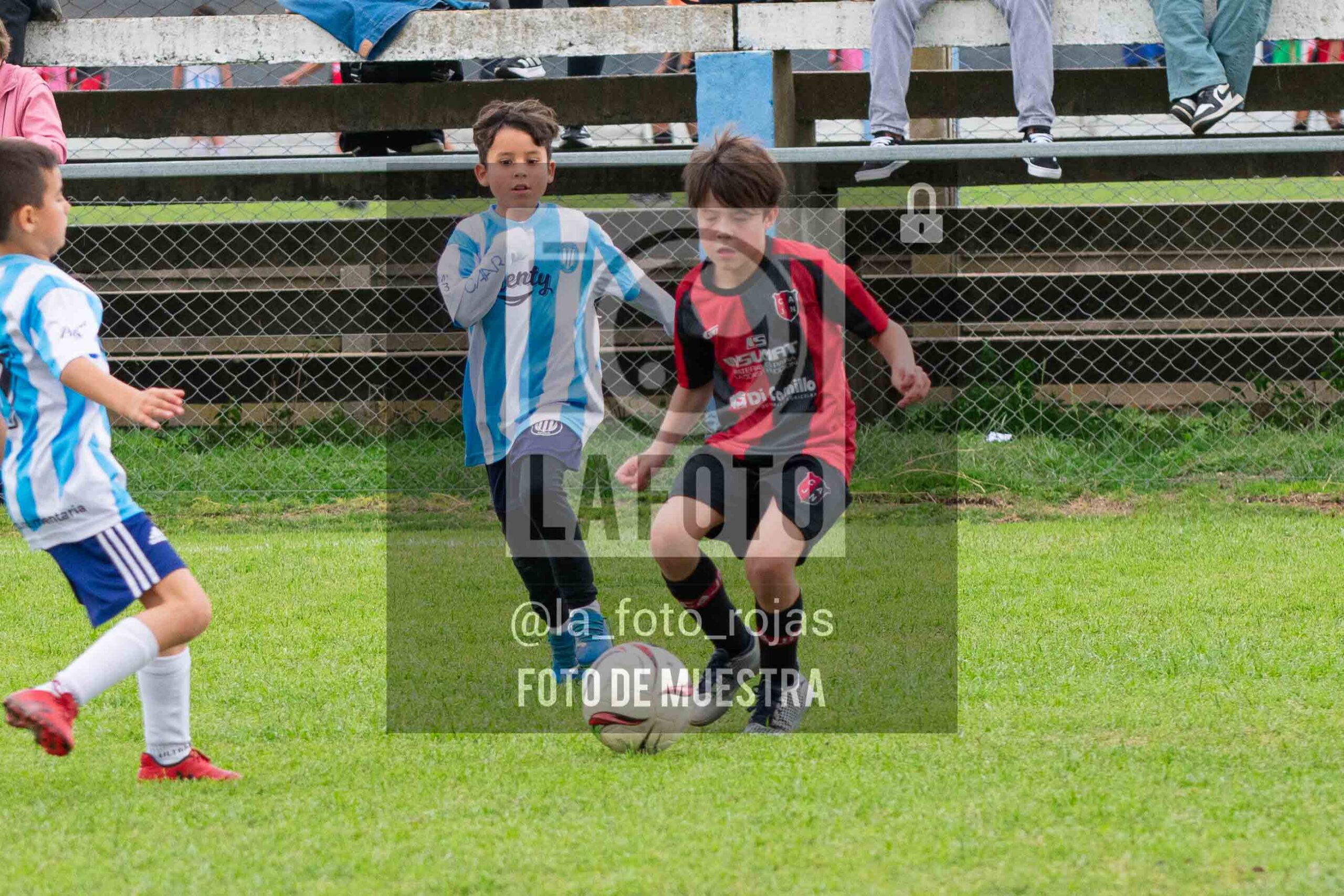 Fotografía 2017-ARG-NEW-144-scaled de ARGENTINO - NEWBERY / 2017 / 8-11