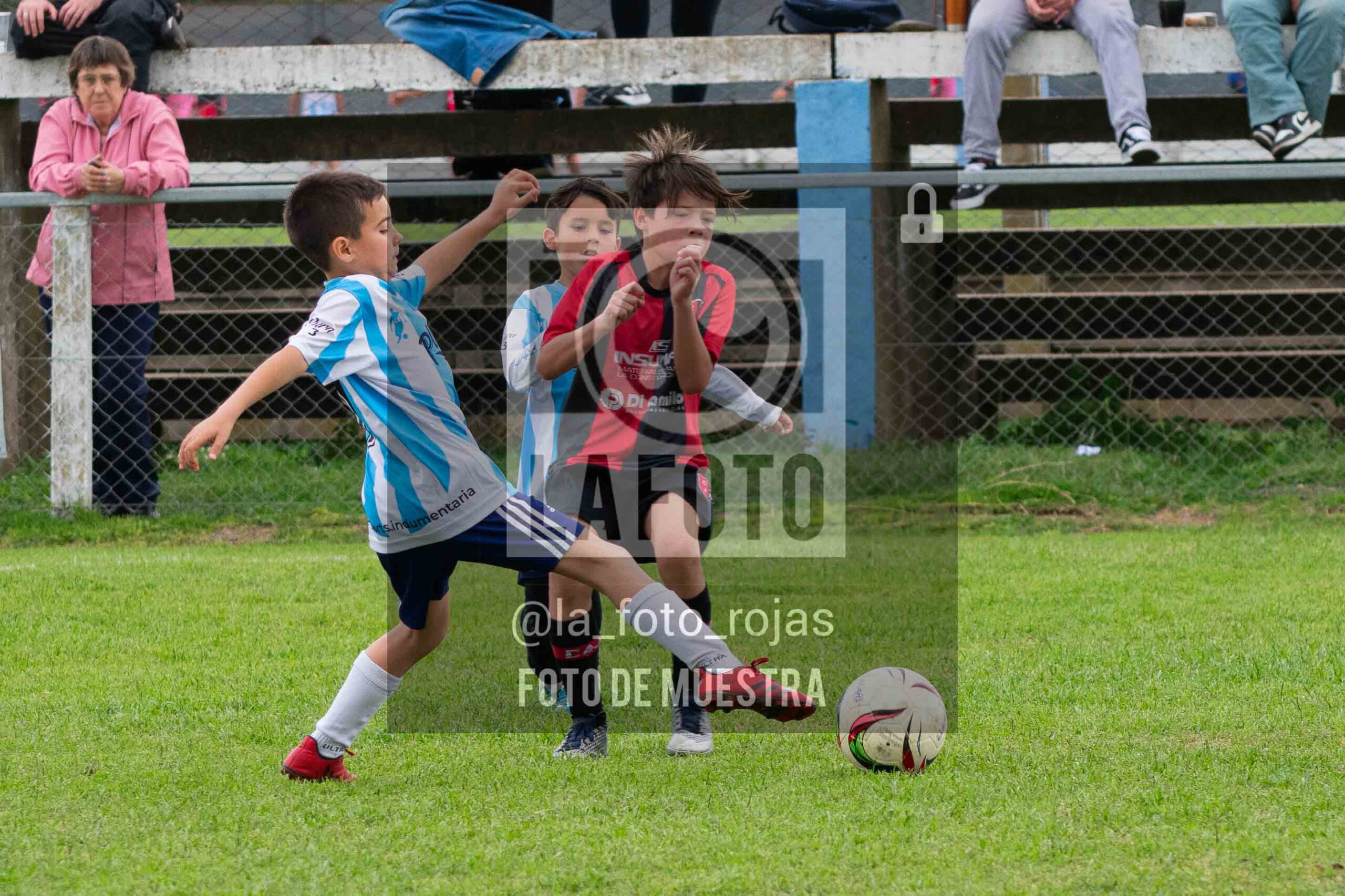 Fotografía 2017-ARG-NEW-145-scaled de ARGENTINO - NEWBERY / 2017 / 8-11