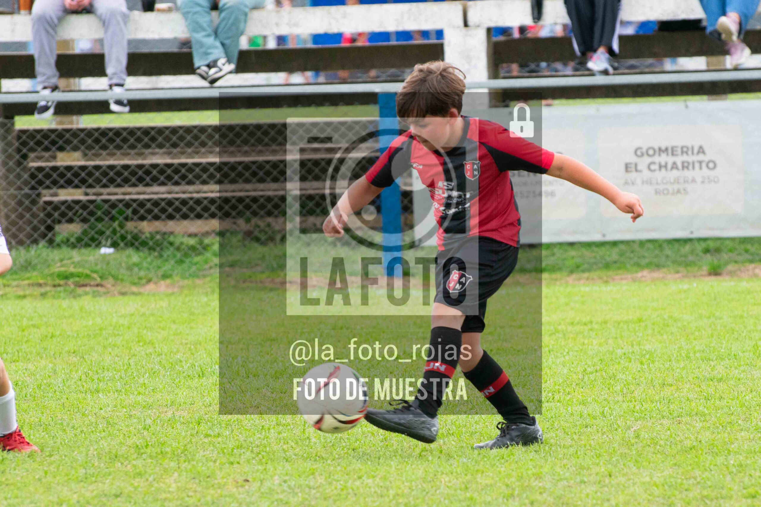 Fotografía 2017-ARG-NEW-147-scaled de ARGENTINO - NEWBERY / 2017 / 8-11