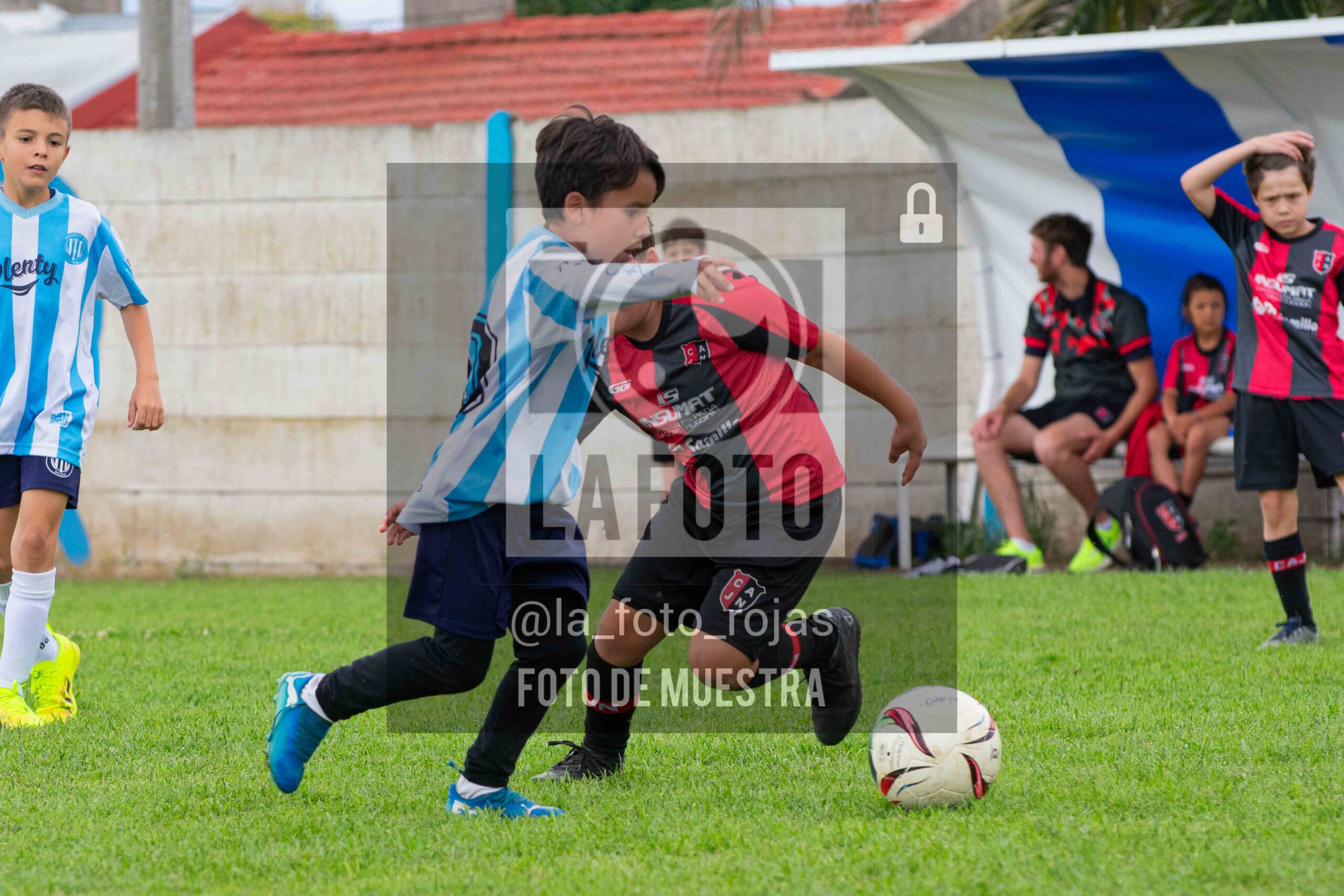 Fotografía 2017-ARG-NEW-16-scaled de ARGENTINO - NEWBERY / 2017 / 8-11