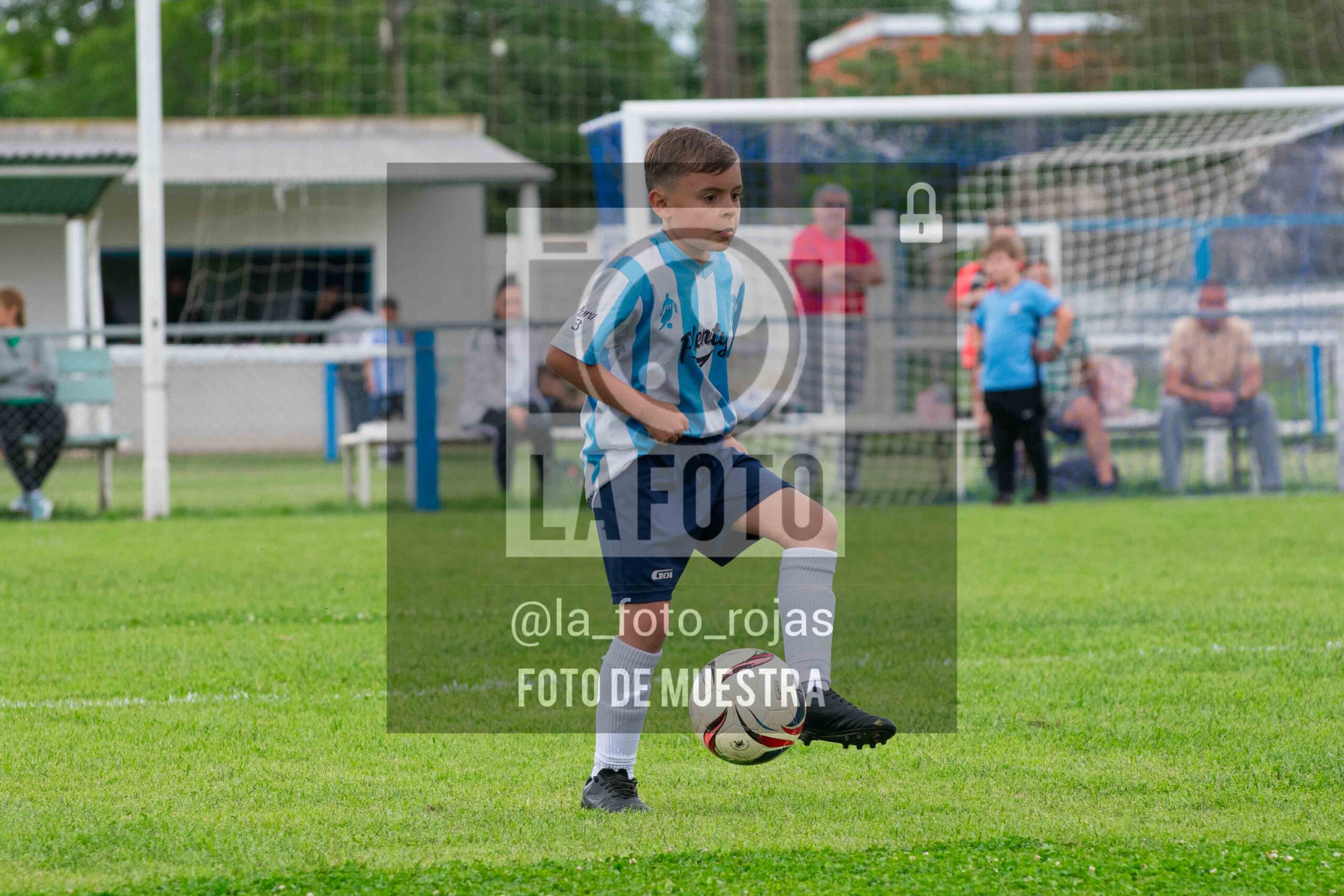 Fotografía 2017-ARG-NEW-28-scaled de ARGENTINO - NEWBERY / 2017 / 8-11