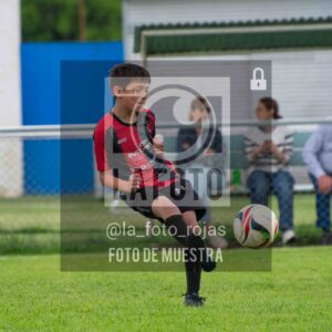 Fotografía 2017-ARG-NEW-29-scaled de ARGENTINO - NEWBERY / 2017 / 8-11