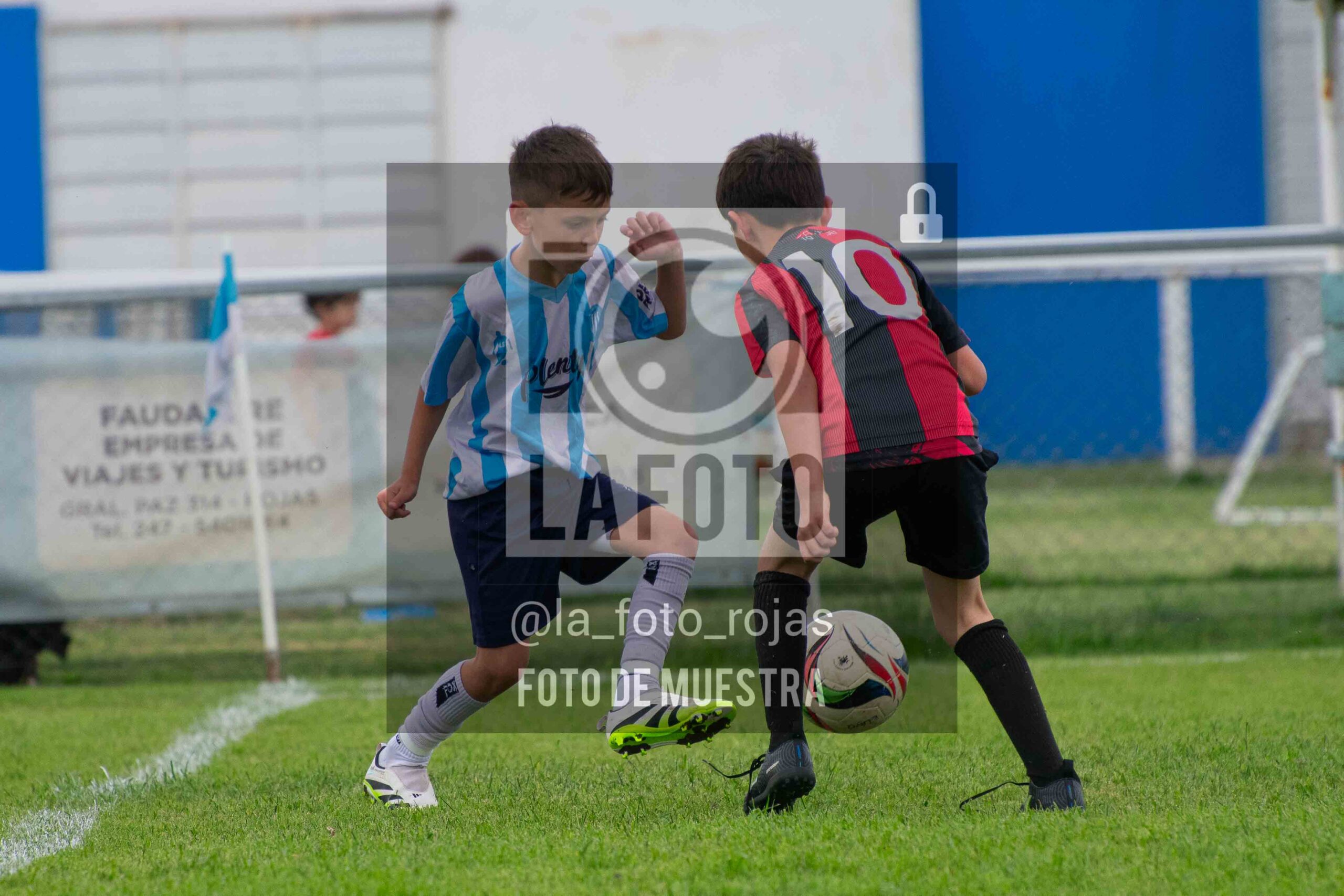 Fotografía 2017-ARG-NEW-31-scaled de ARGENTINO - NEWBERY / 2017 / 8-11