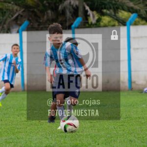 Fotografía 2017-ARG-NEW-36-scaled de ARGENTINO - NEWBERY / 2017 / 8-11