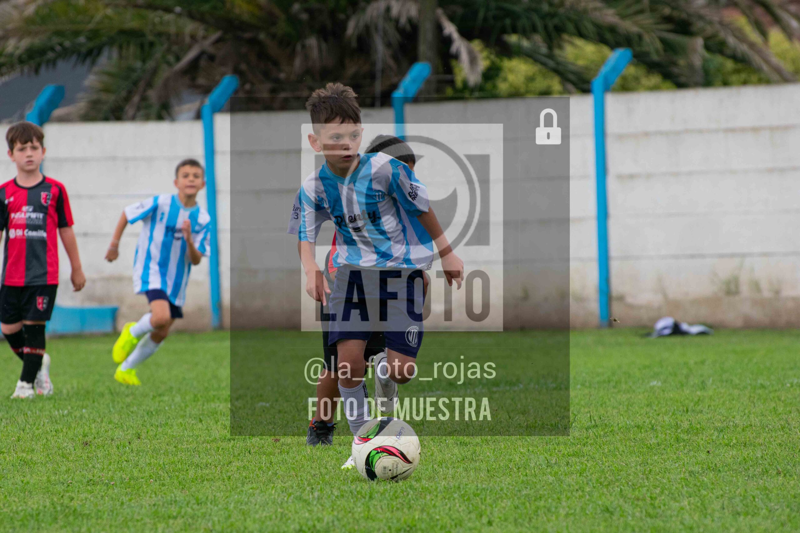 Fotografía 2017-ARG-NEW-36-scaled de ARGENTINO - NEWBERY / 2017 / 8-11