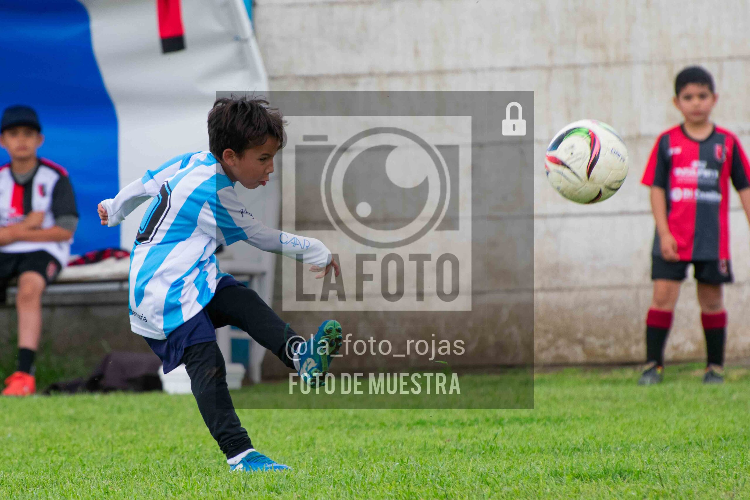 Fotografía 2017-ARG-NEW-38-scaled de ARGENTINO - NEWBERY / 2017 / 8-11