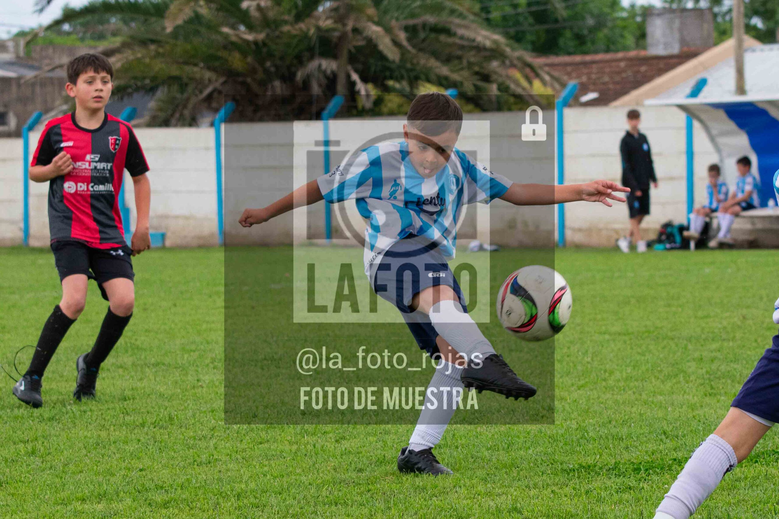 Fotografía 2017-ARG-NEW-39-scaled de ARGENTINO - NEWBERY / 2017 / 8-11