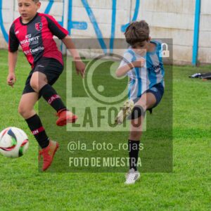 Fotografía 2017-ARG-NEW-53-scaled de ARGENTINO - NEWBERY / 2017 / 8-11