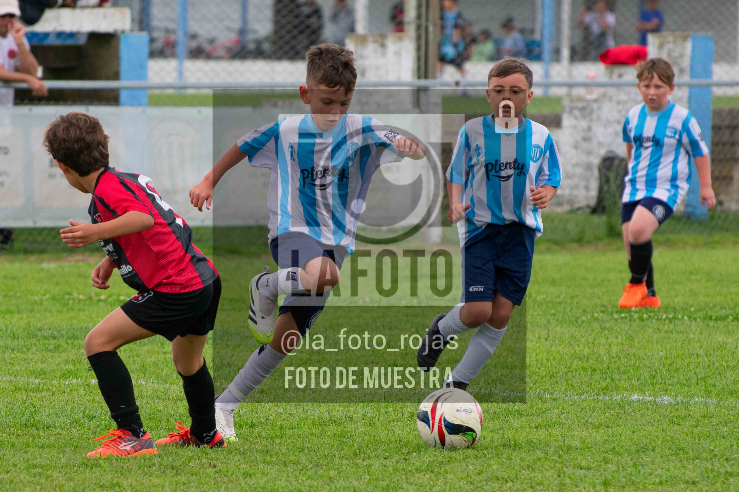 Fotografía 2017-ARG-NEW-57-scaled de ARGENTINO - NEWBERY / 2017 / 8-11