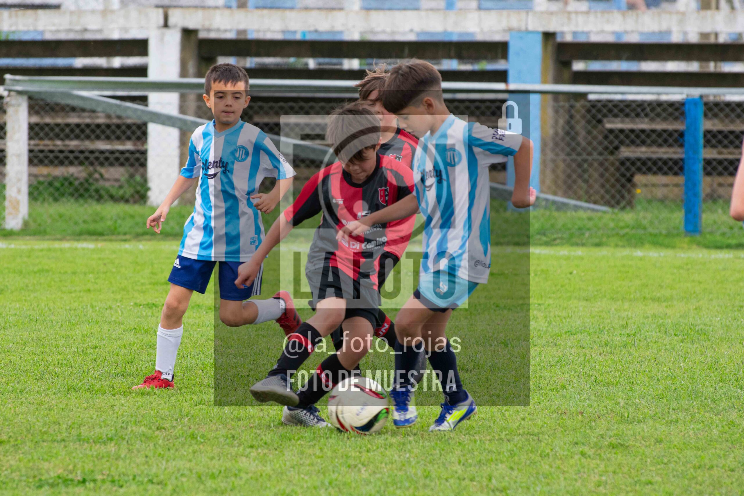 Fotografía 2017-ARG-NEW-65-1-scaled de ARGENTINO - NEWBERY / 2017 / 8-11