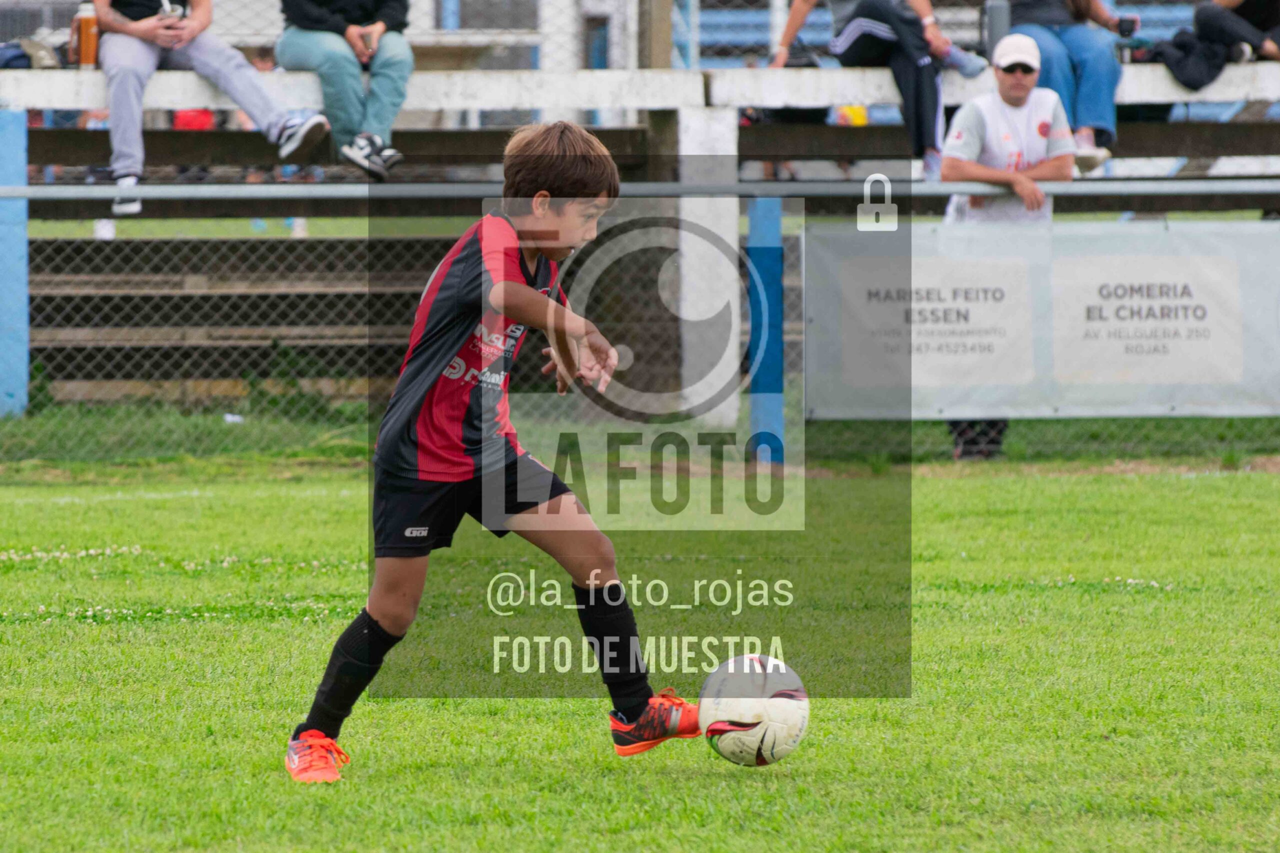Fotografía 2017-ARG-NEW-66-scaled de ARGENTINO - NEWBERY / 2017 / 8-11