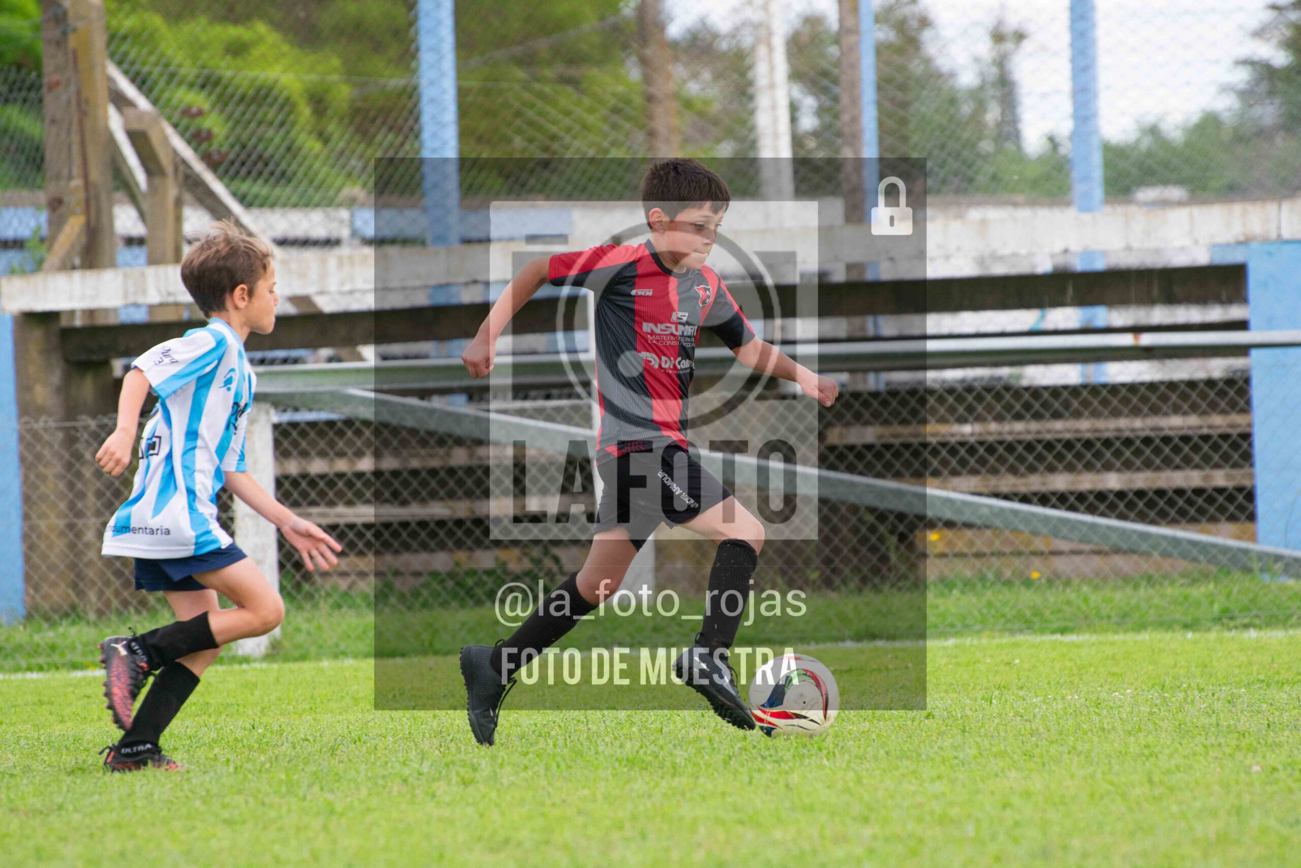 Fotografía 2017-ARG-NEW-70-scaled de ARGENTINO - NEWBERY / 2017 / 8-11