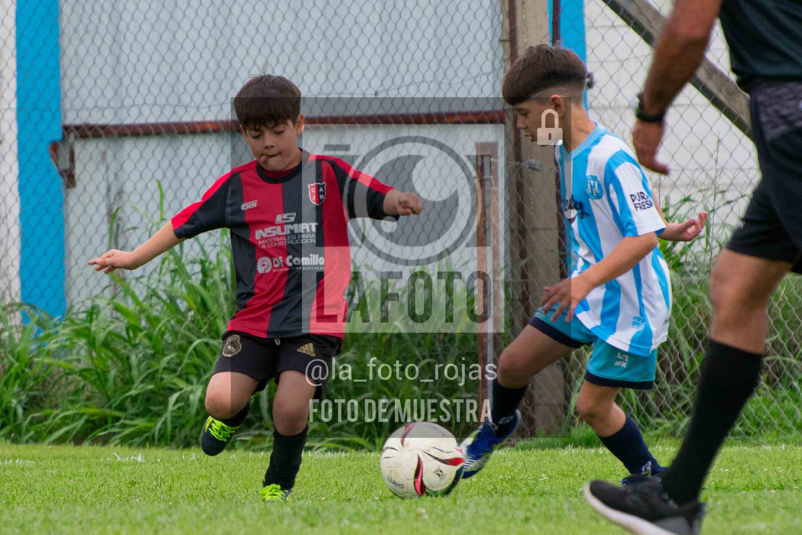 Fotografía 2017-ARG-NEW-77-scaled de ARGENTINO - NEWBERY / 2017 / 8-11