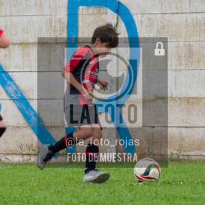 Fotografía 2017-ARG-NEW-8-scaled de ARGENTINO - NEWBERY / 2017 / 8-11