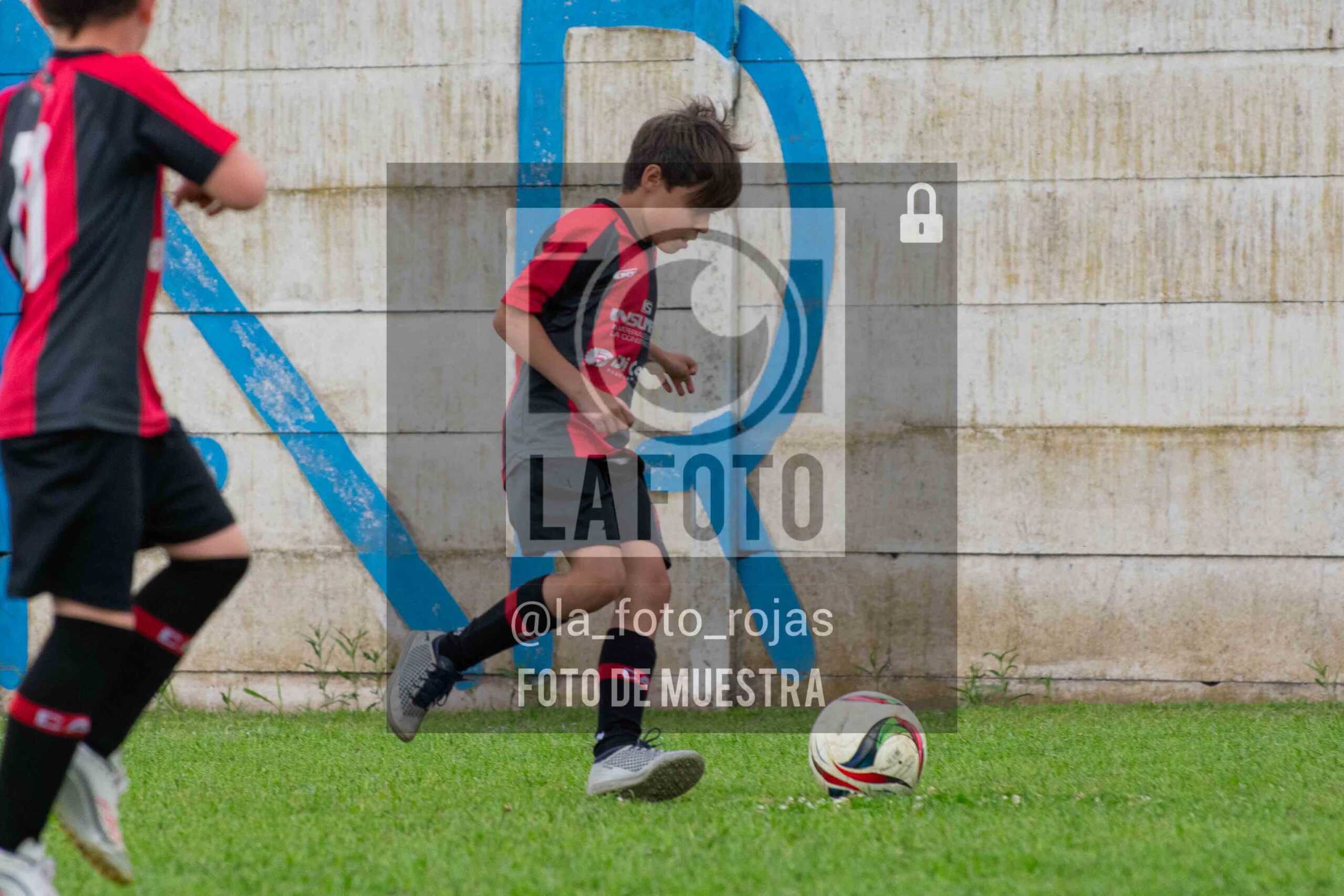 Fotografía 2017-ARG-NEW-8-scaled de ARGENTINO - NEWBERY / 2017 / 8-11
