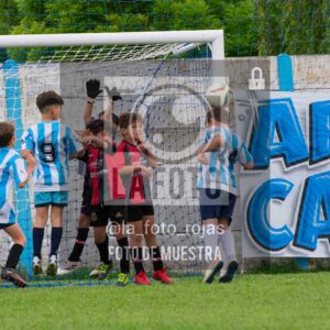 Fotografía 2017-ARG-NEW-80-scaled de ARGENTINO - NEWBERY / 2017 / 8-11