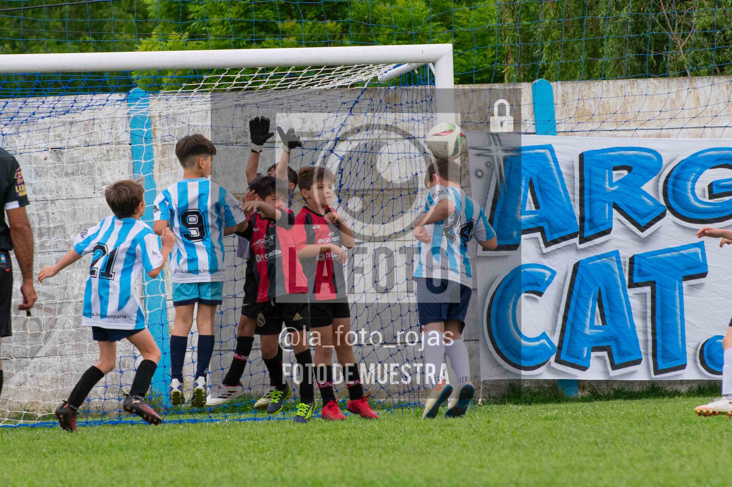 Fotografía 2017-ARG-NEW-80-scaled de ARGENTINO - NEWBERY / 2017 / 8-11