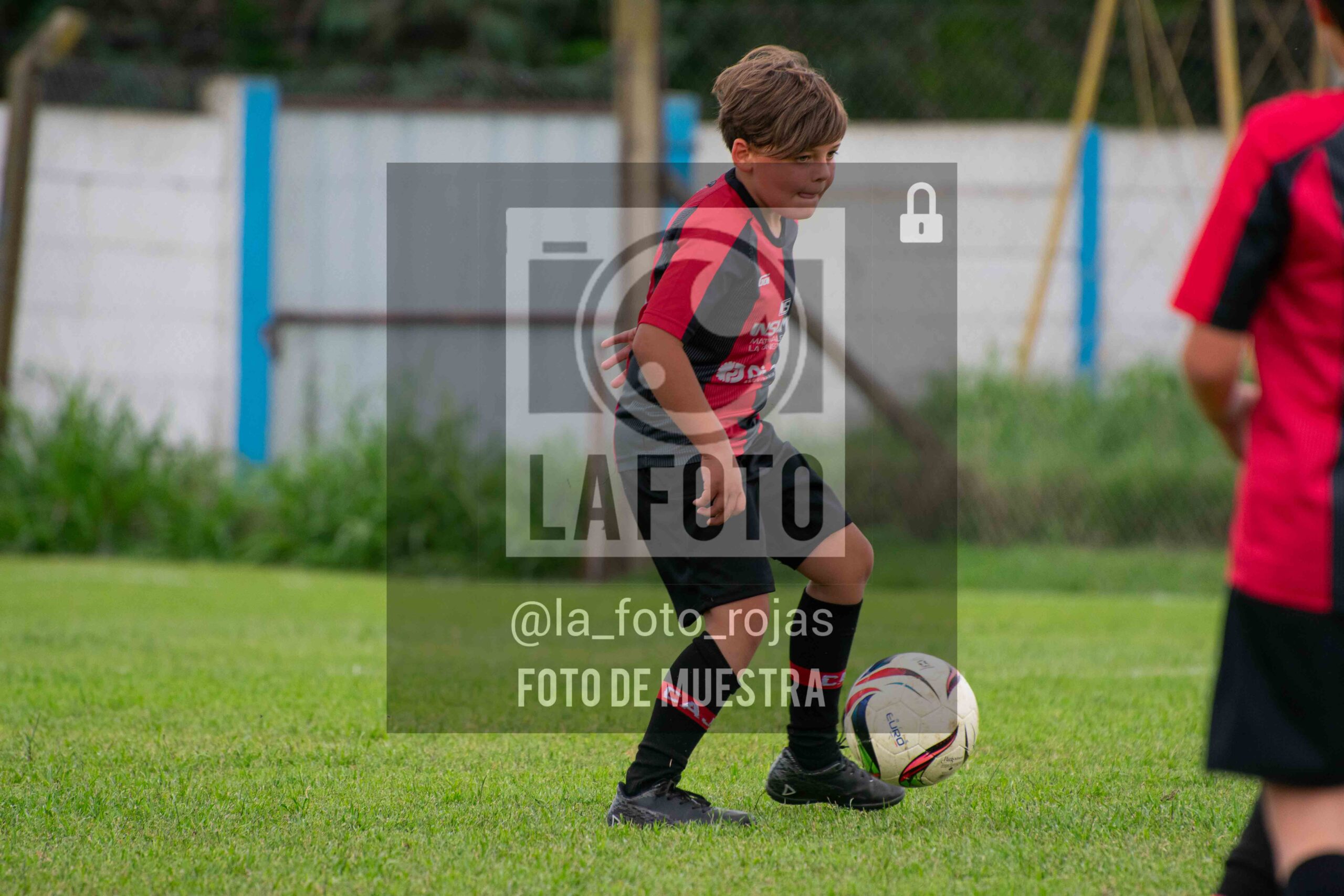 Fotografía 2017-ARG-NEW-86-scaled de ARGENTINO - NEWBERY / 2017 / 8-11