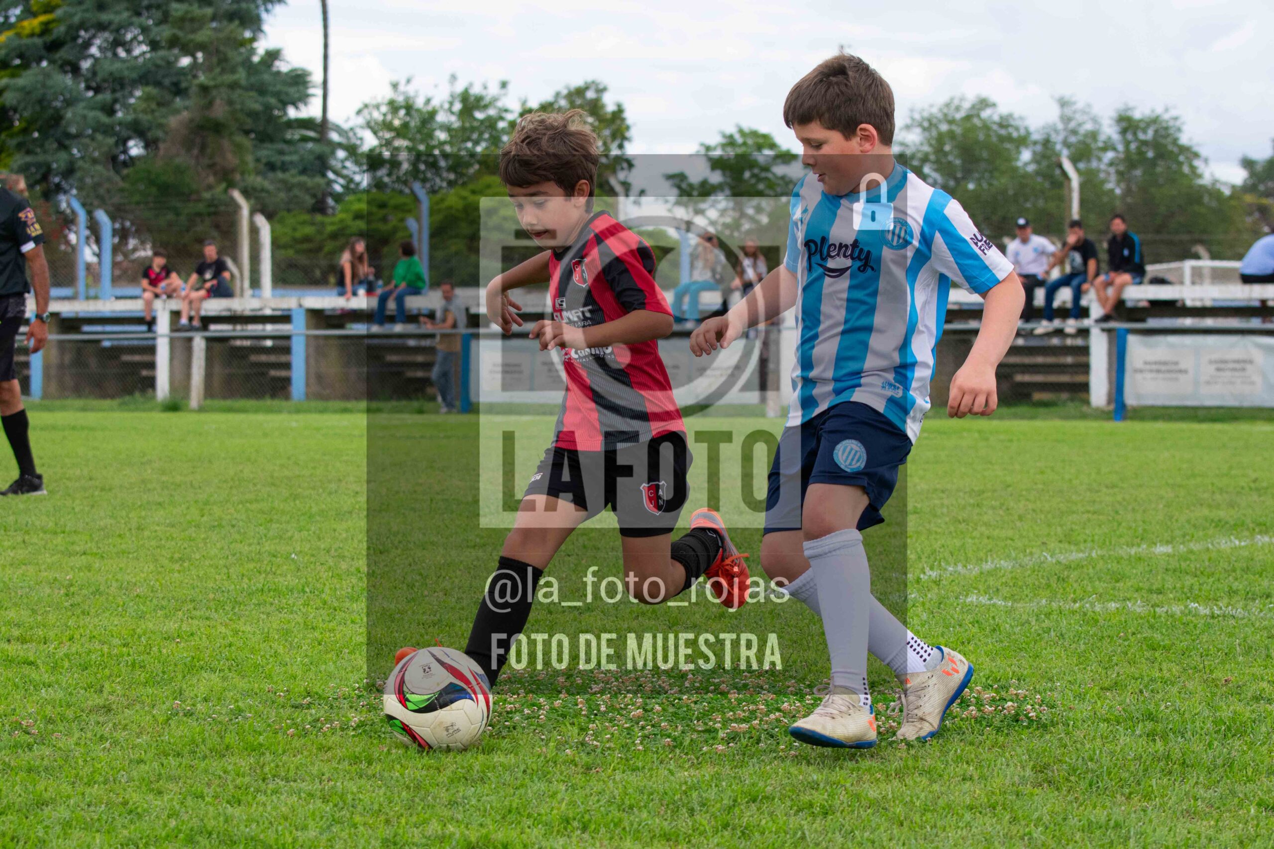Fotografía 2017-ARG-NEW-89-scaled de ARGENTINO - NEWBERY / 2017 / 8-11