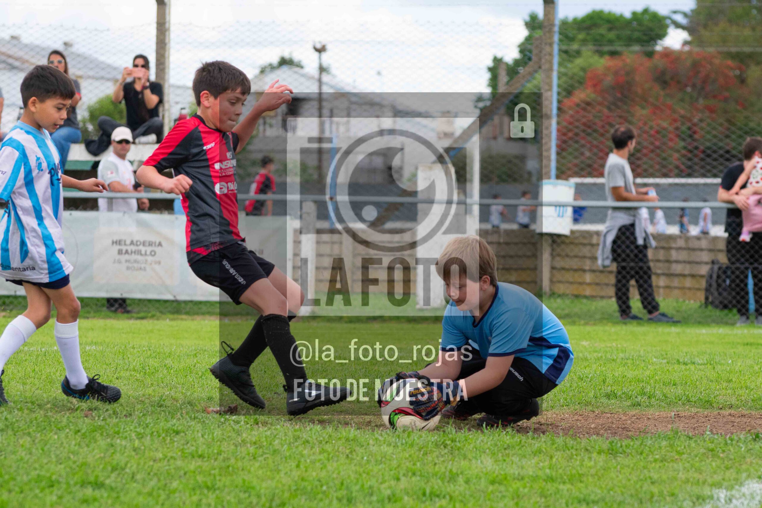 Fotografía 2017-ARG-NEW-90-scaled de ARGENTINO - NEWBERY / 2017 / 8-11