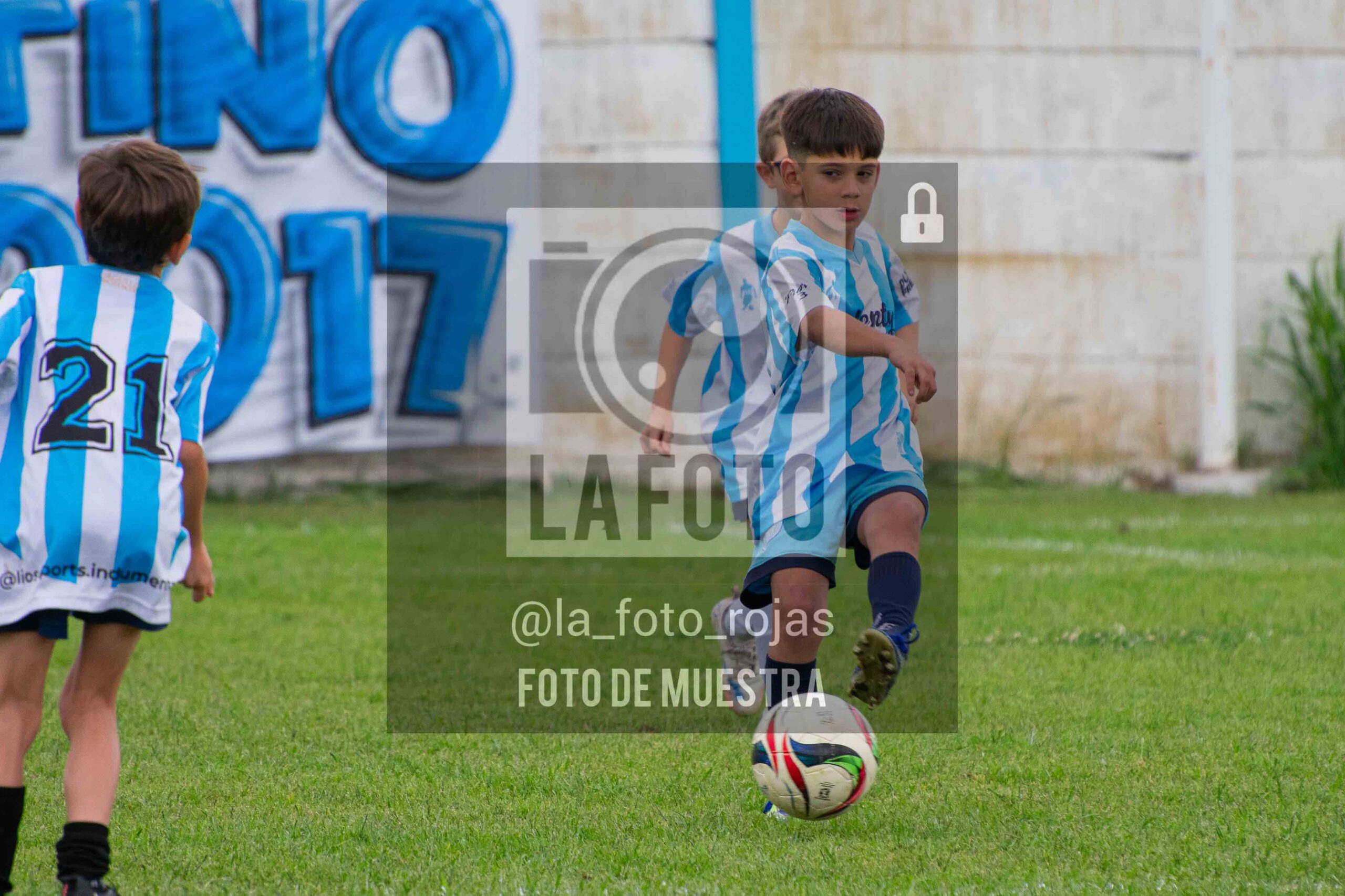 Fotografía 2017-ARG-NEW-93-scaled de ARGENTINO - NEWBERY / 2017 / 8-11