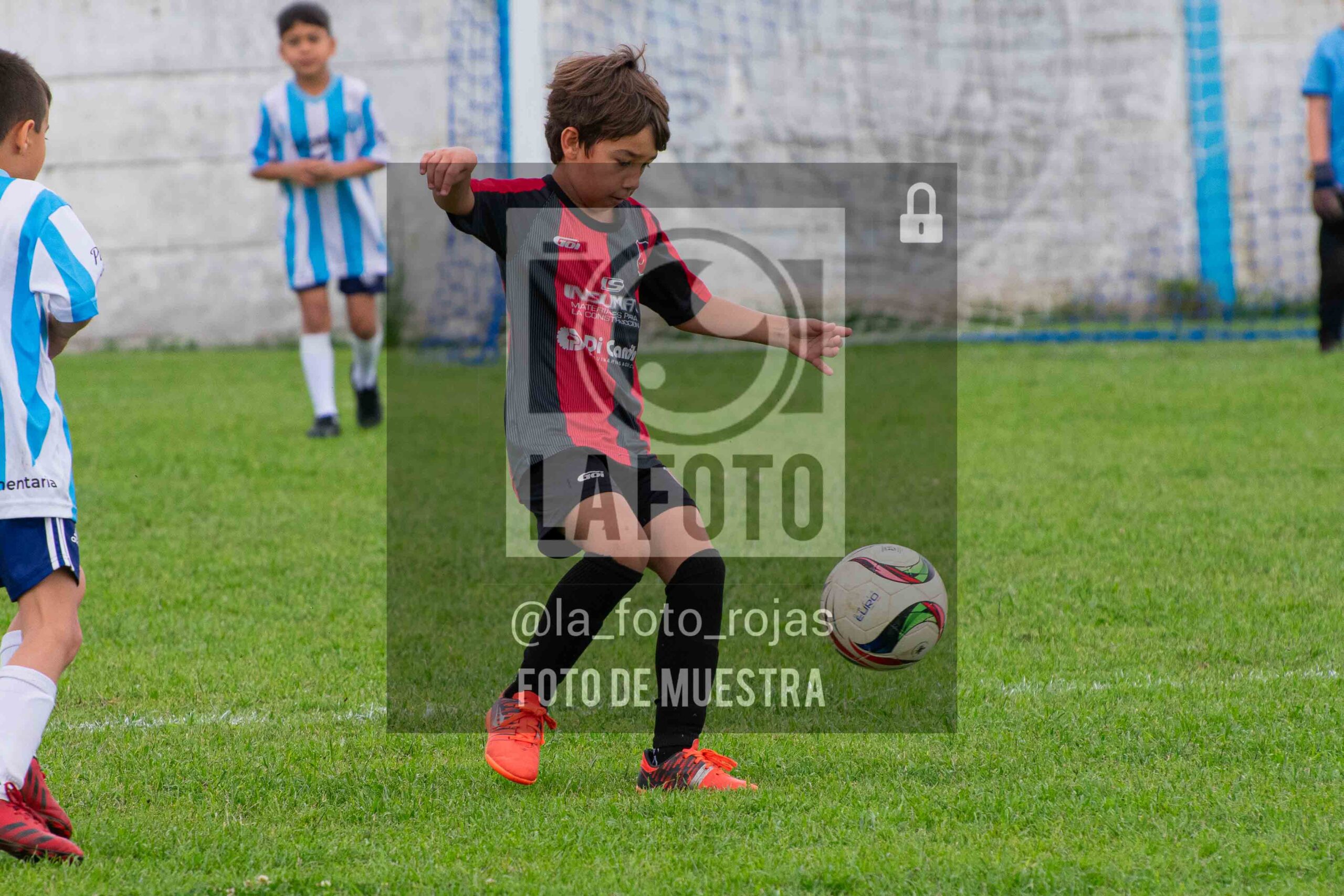 Fotografía 2017-ARG-NEW-94-scaled de ARGENTINO - NEWBERY / 2017 / 8-11