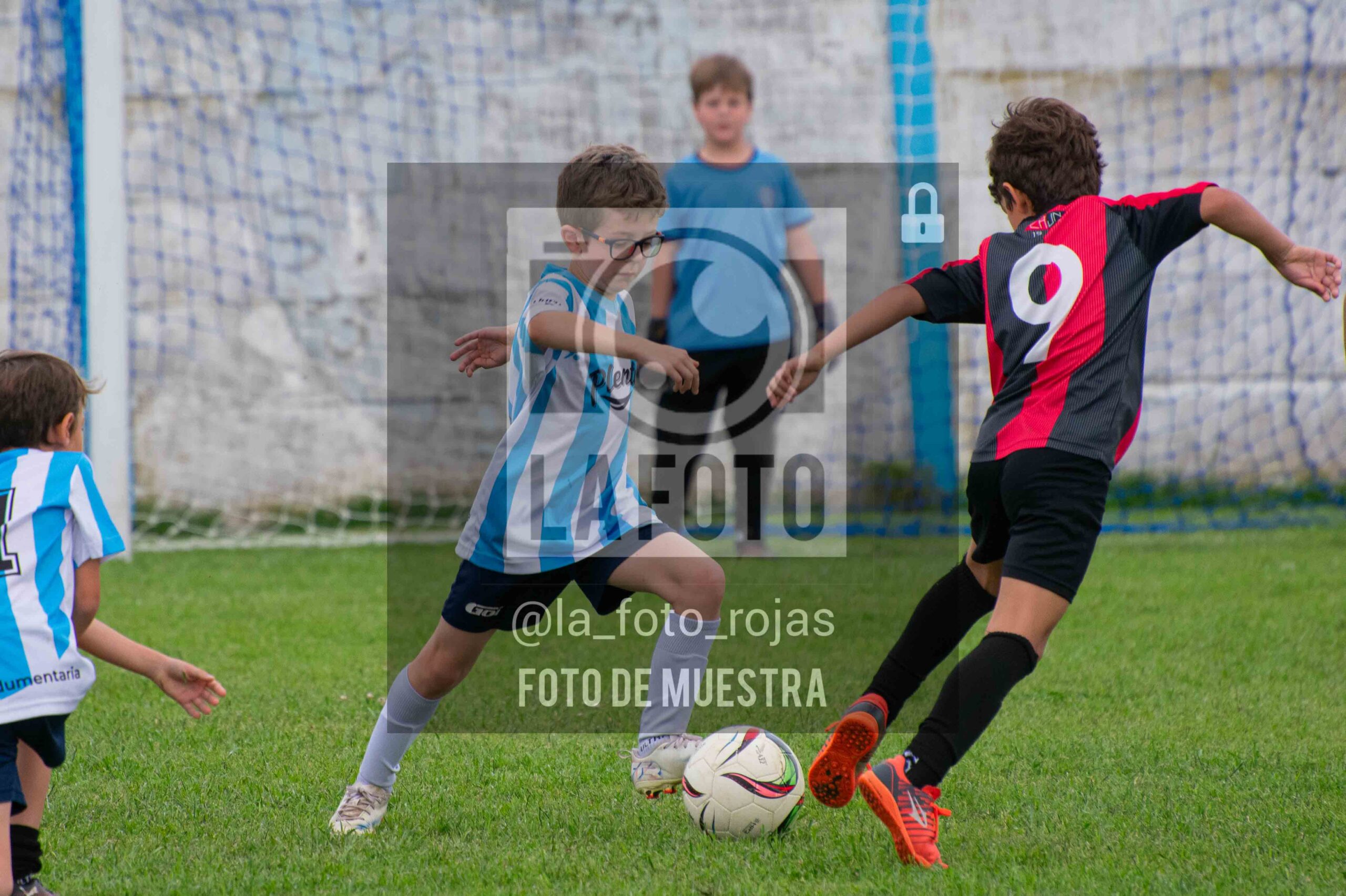 Fotografía 2017-ARG-NEW-95-scaled de ARGENTINO - NEWBERY / 2017 / 8-11