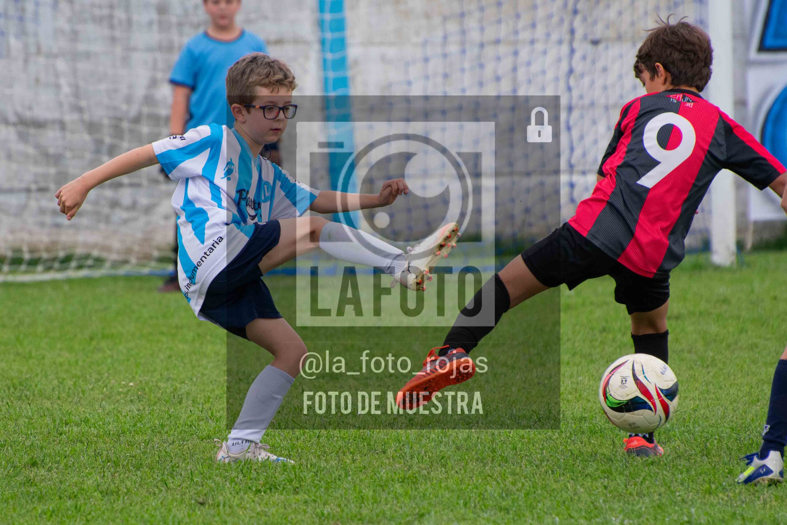 Fotografía 2017-ARG-NEW-97-scaled de ARGENTINO - NEWBERY / 2017 / 8-11