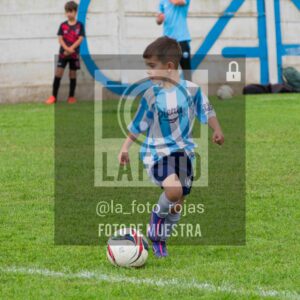 Fotografía 2018-ARG-NEW-14-scaled de ARGENTINO - NEWBERY / 2018 / 8-11