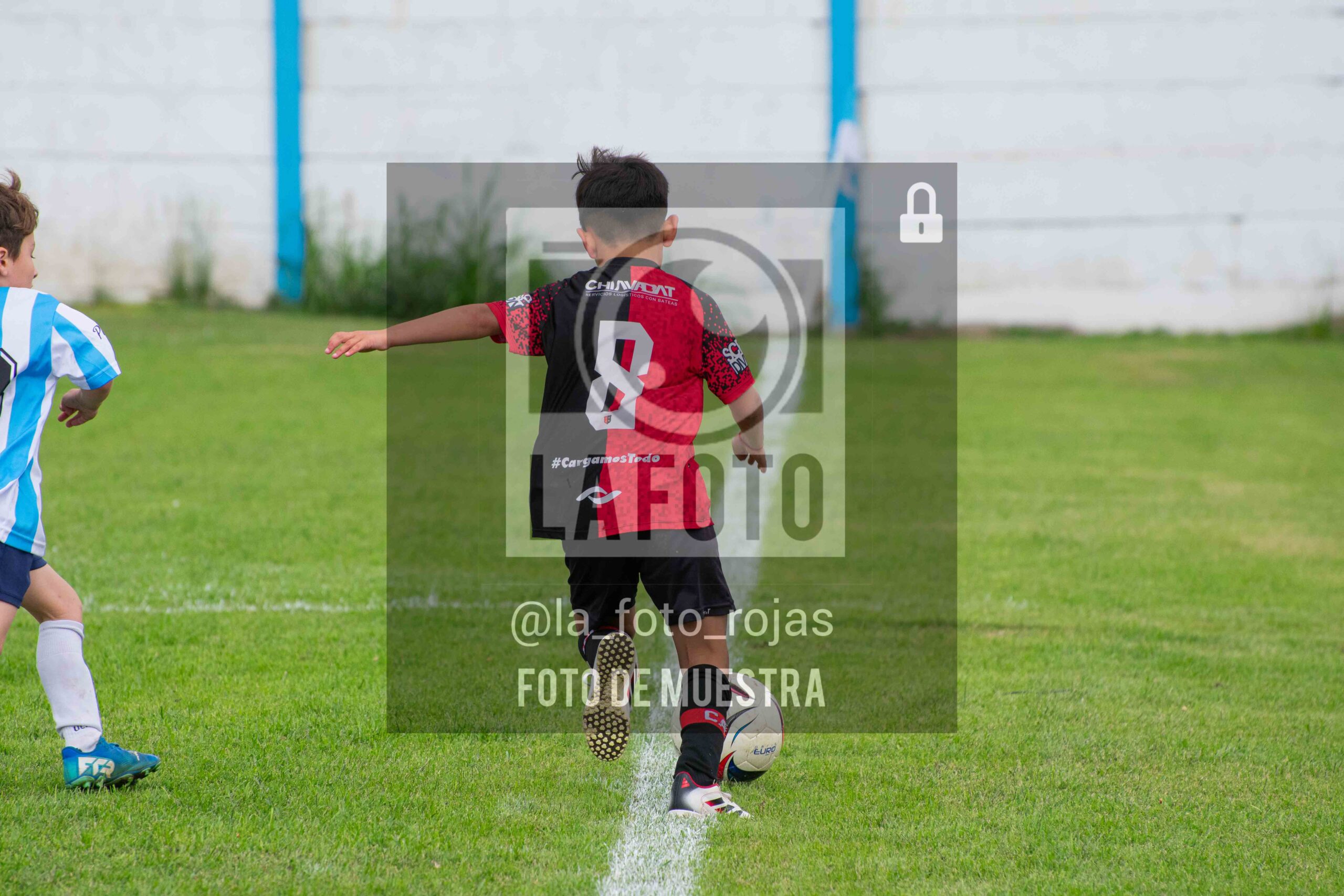 Fotografía 2018-ARG-NEW-20-scaled de ARGENTINO - NEWBERY / 2018 / 8-11