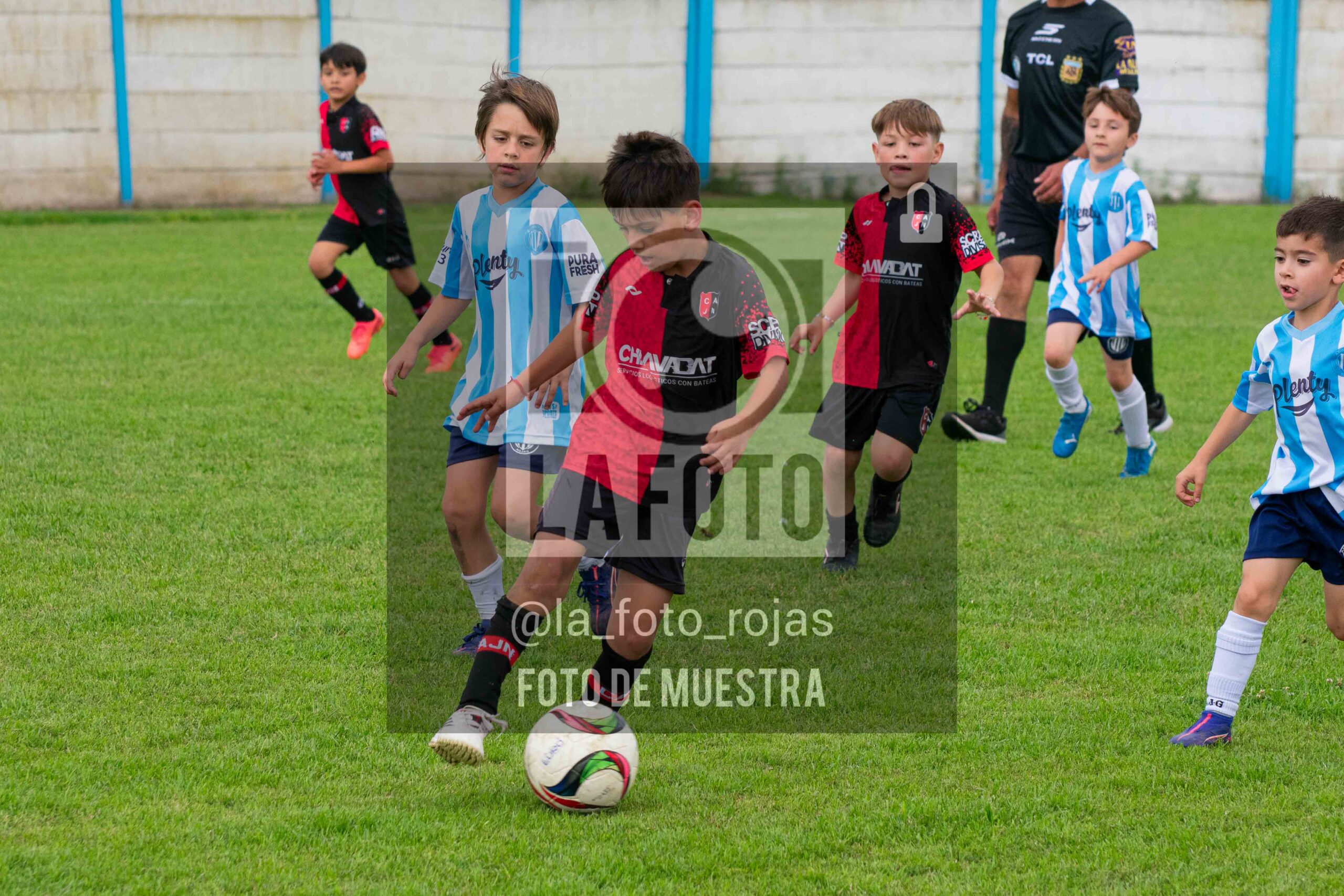 Fotografía 2018-ARG-NEW-25-scaled de ARGENTINO - NEWBERY / 2018 / 8-11