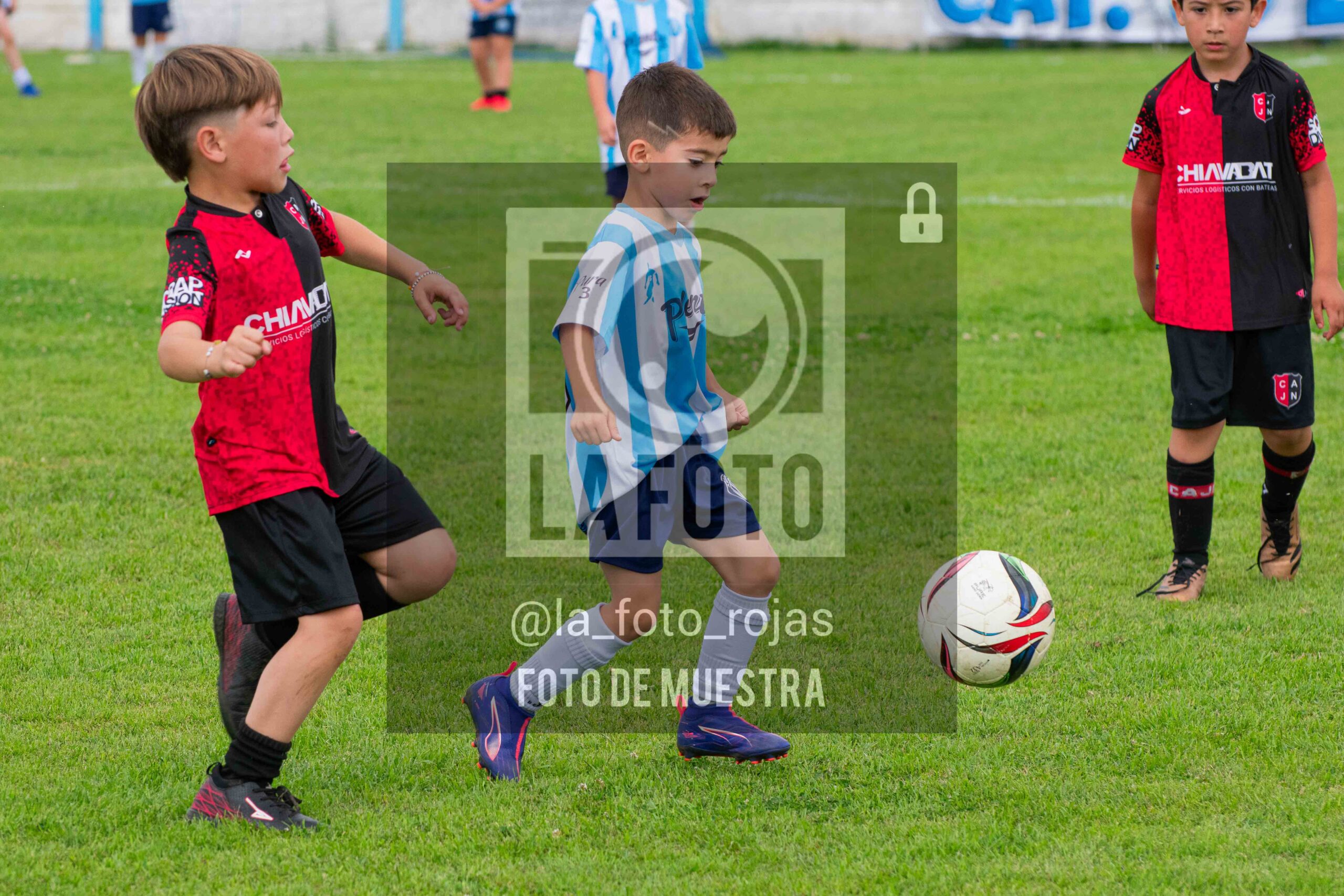Fotografía 2018-ARG-NEW-26-scaled de ARGENTINO - NEWBERY / 2018 / 8-11