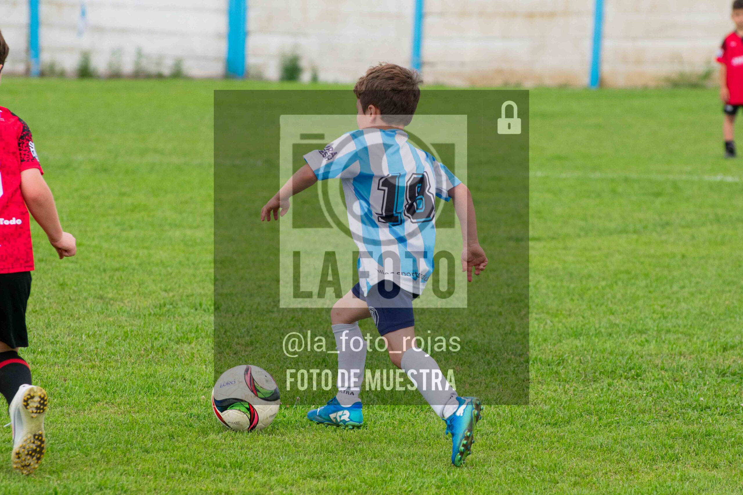 Fotografía 2018-ARG-NEW-28-scaled de ARGENTINO - NEWBERY / 2018 / 8-11