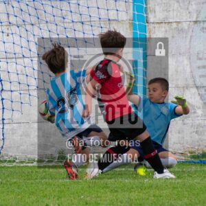 Fotografía 2018-ARG-NEW-34-scaled de ARGENTINO - NEWBERY / 2018 / 8-11