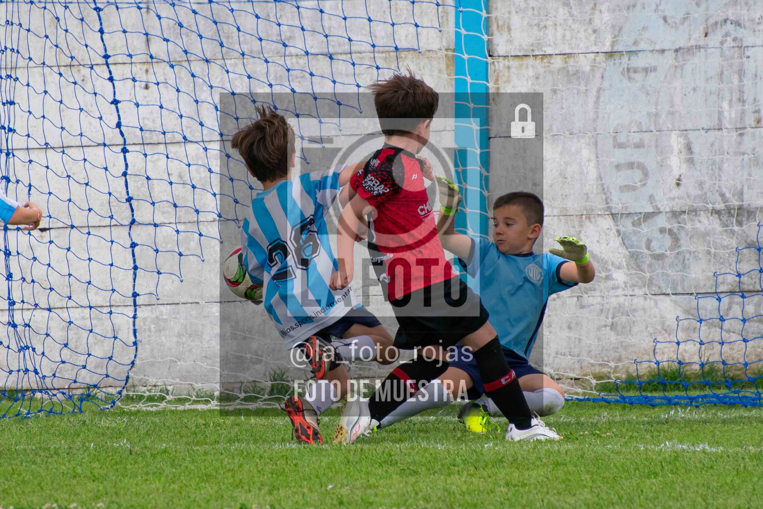 Fotografía 2018-ARG-NEW-34-scaled de ARGENTINO - NEWBERY / 2018 / 8-11