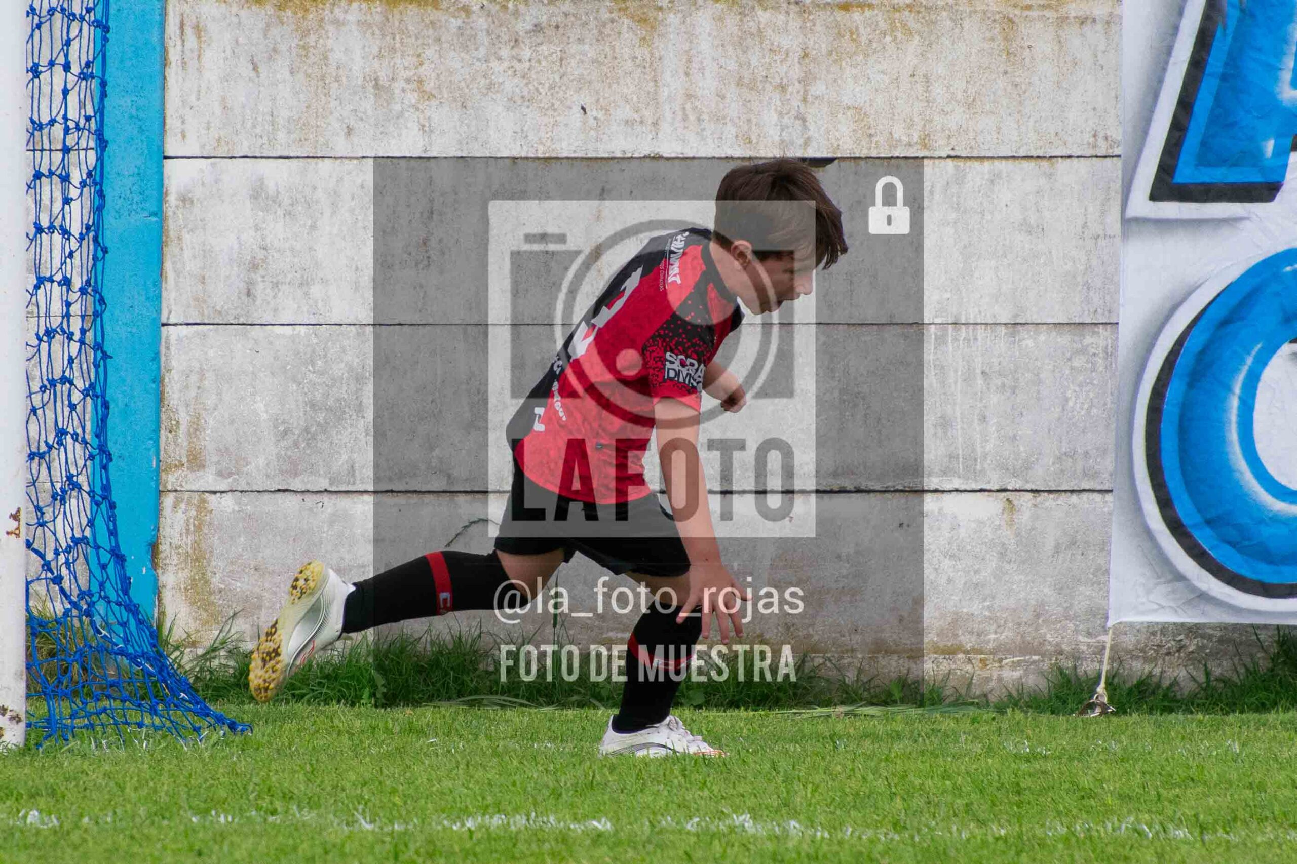 Fotografía 2018-ARG-NEW-35-scaled de ARGENTINO - NEWBERY / 2018 / 8-11