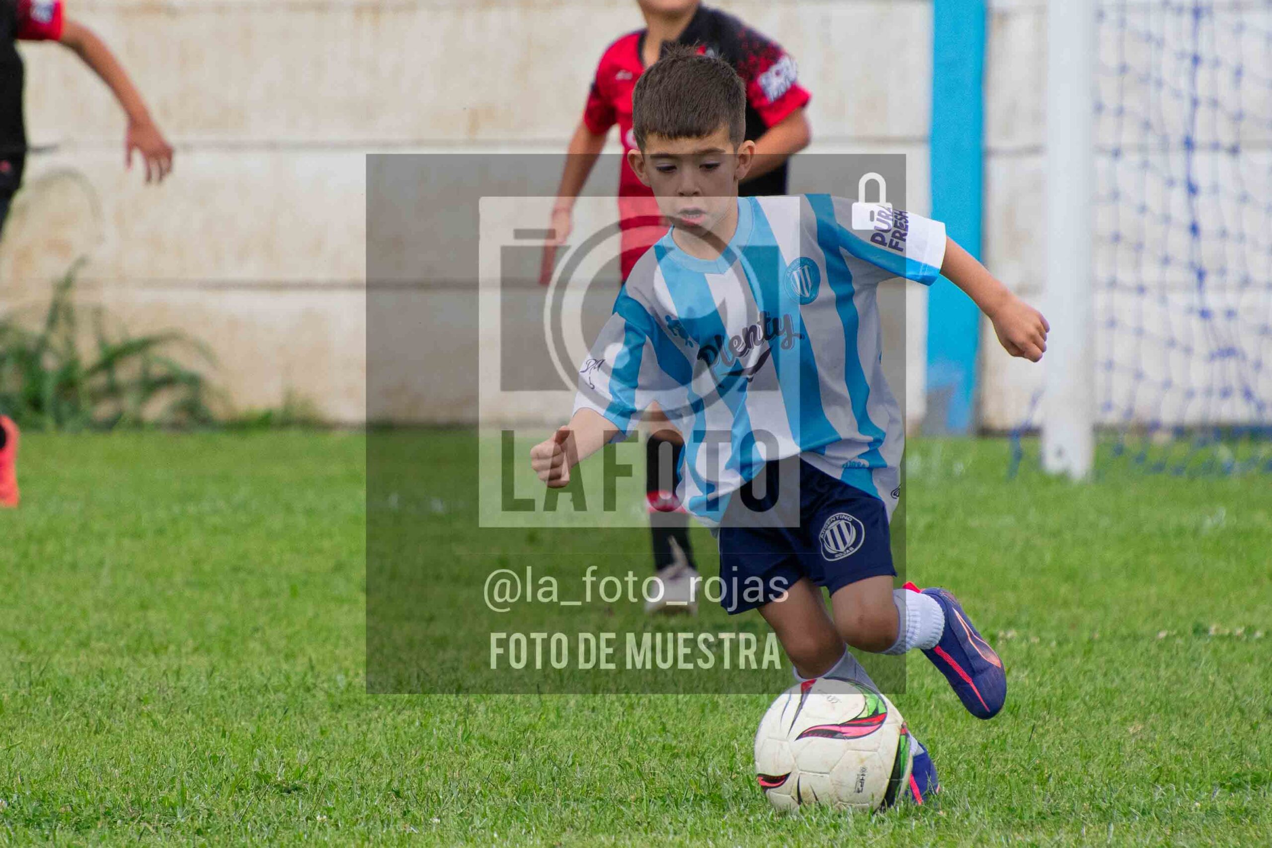 Fotografía 2018-ARG-NEW-4-scaled de ARGENTINO - NEWBERY / 2018 / 8-11