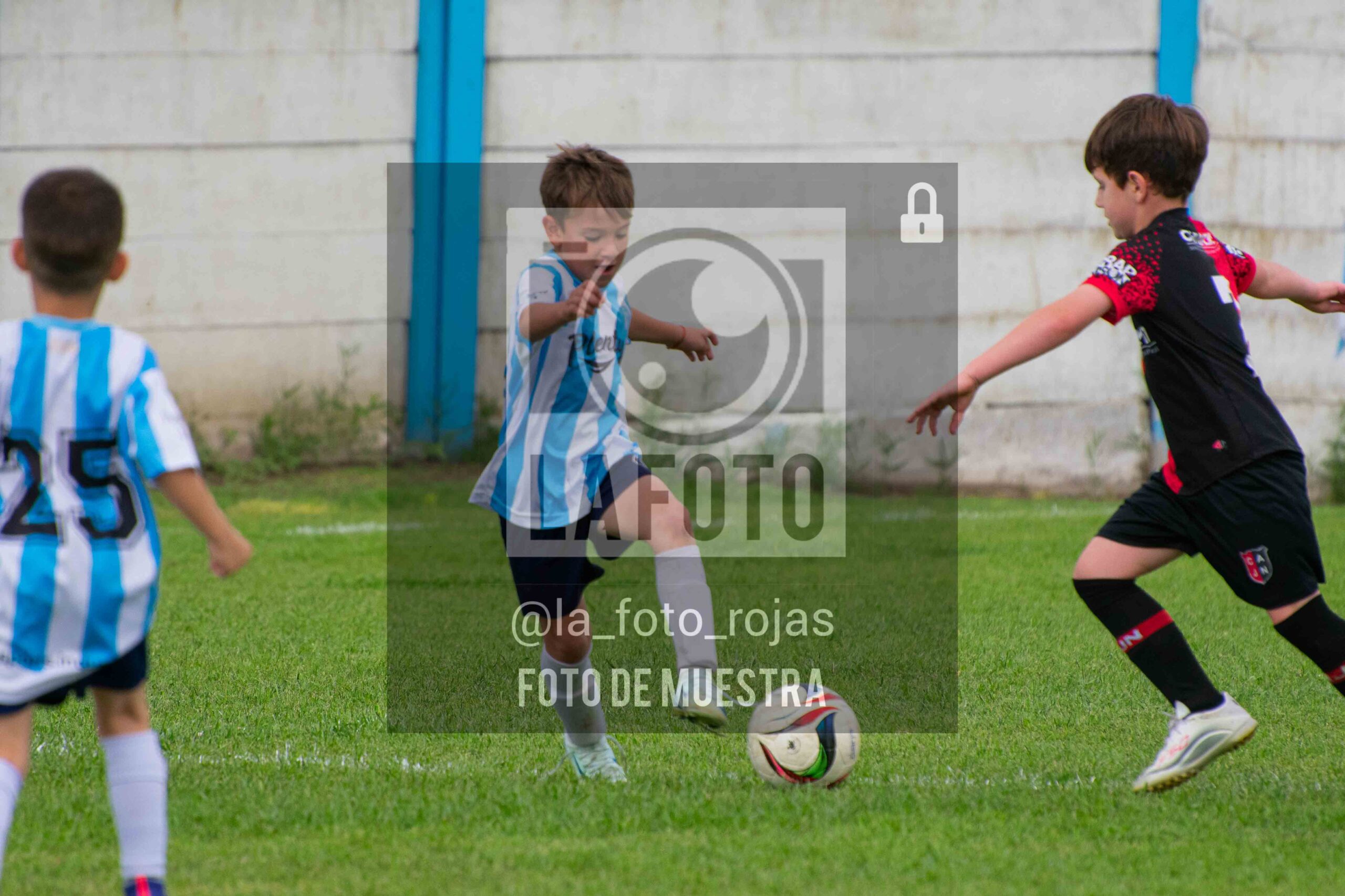 Fotografía 2018-ARG-NEW-41-scaled de ARGENTINO - NEWBERY / 2018 / 8-11