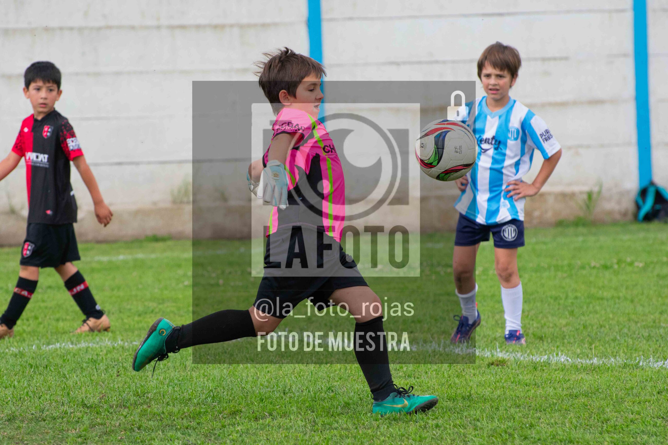 Fotografía 2018-ARG-NEW-46-scaled de ARGENTINO - NEWBERY / 2018 / 8-11