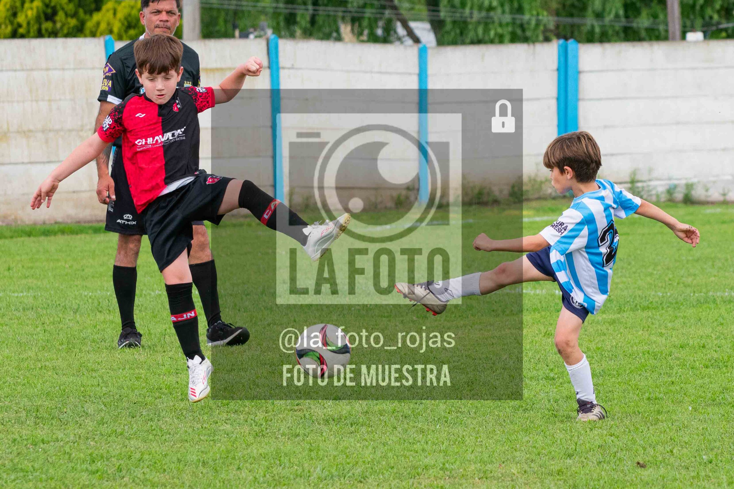 Fotografía 2018-ARG-NEW-49-scaled de ARGENTINO - NEWBERY / 2018 / 8-11