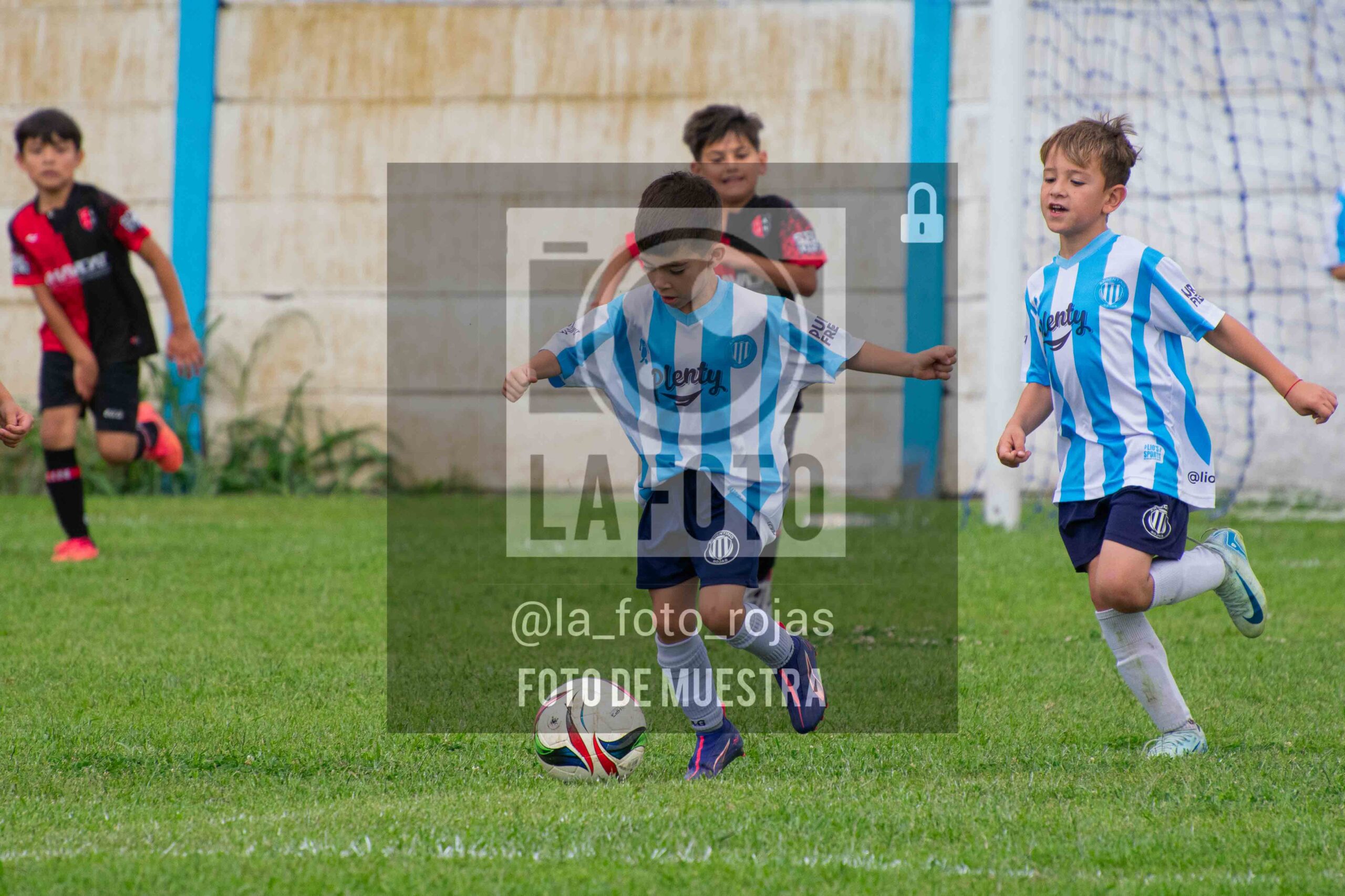 Fotografía 2018-ARG-NEW-5-scaled de ARGENTINO - NEWBERY / 2018 / 8-11