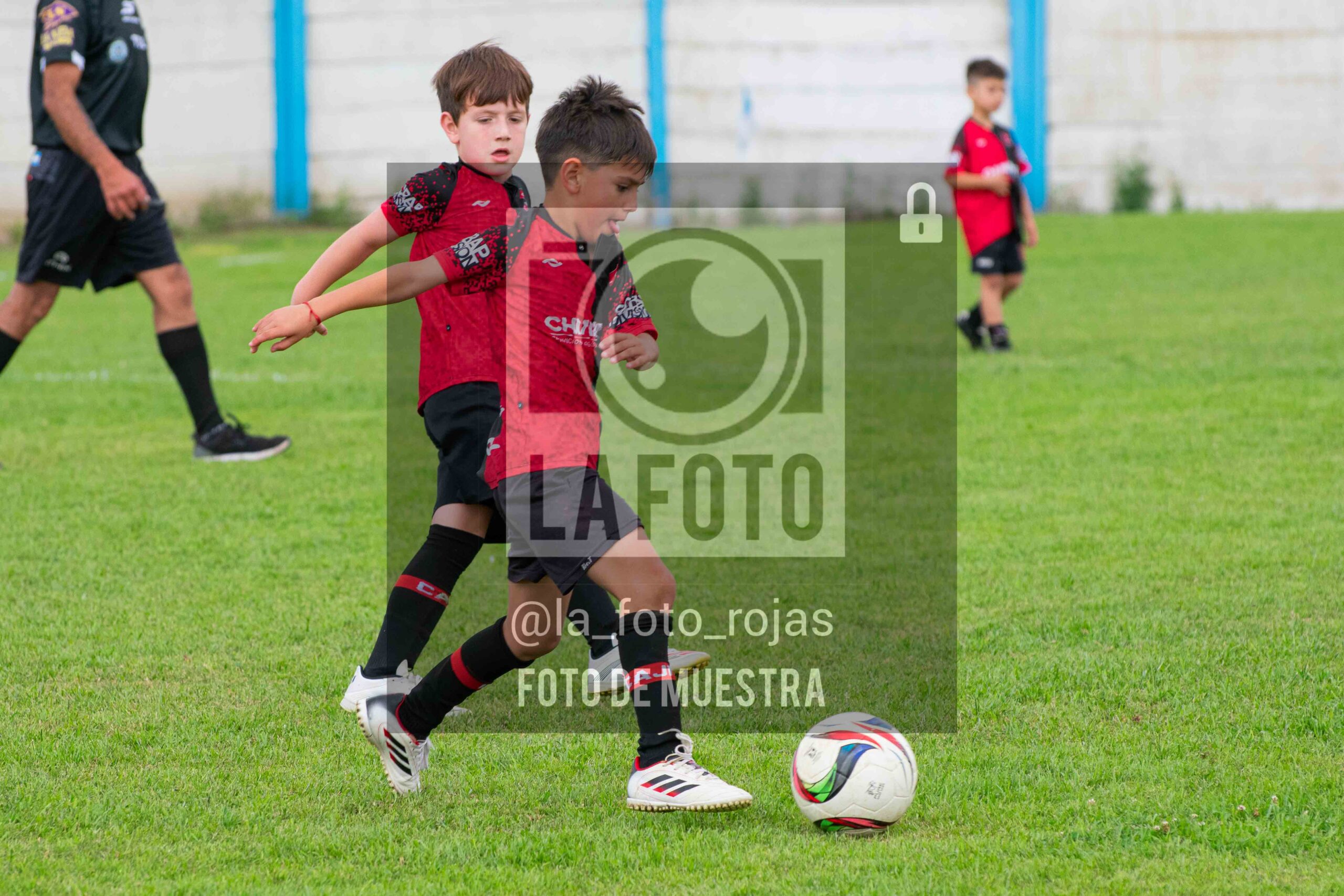 Fotografía 2018-ARG-NEW-50-scaled de ARGENTINO - NEWBERY / 2018 / 8-11