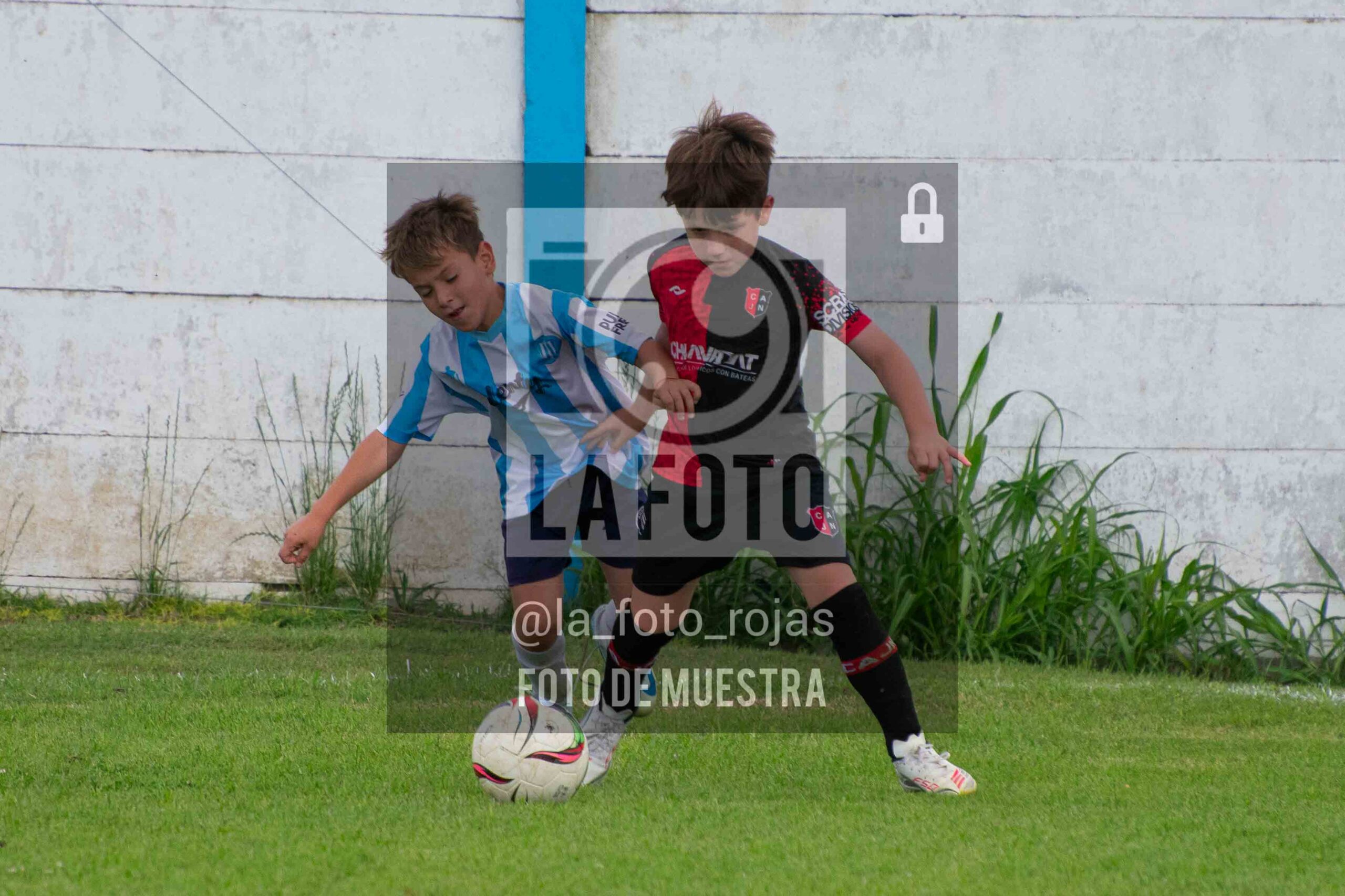 Fotografía 2018-ARG-NEW-57-scaled de ARGENTINO - NEWBERY / 2018 / 8-11