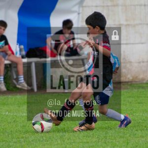 Fotografía 2018-ARG-NEW-58-scaled de ARGENTINO - NEWBERY / 2018 / 8-11