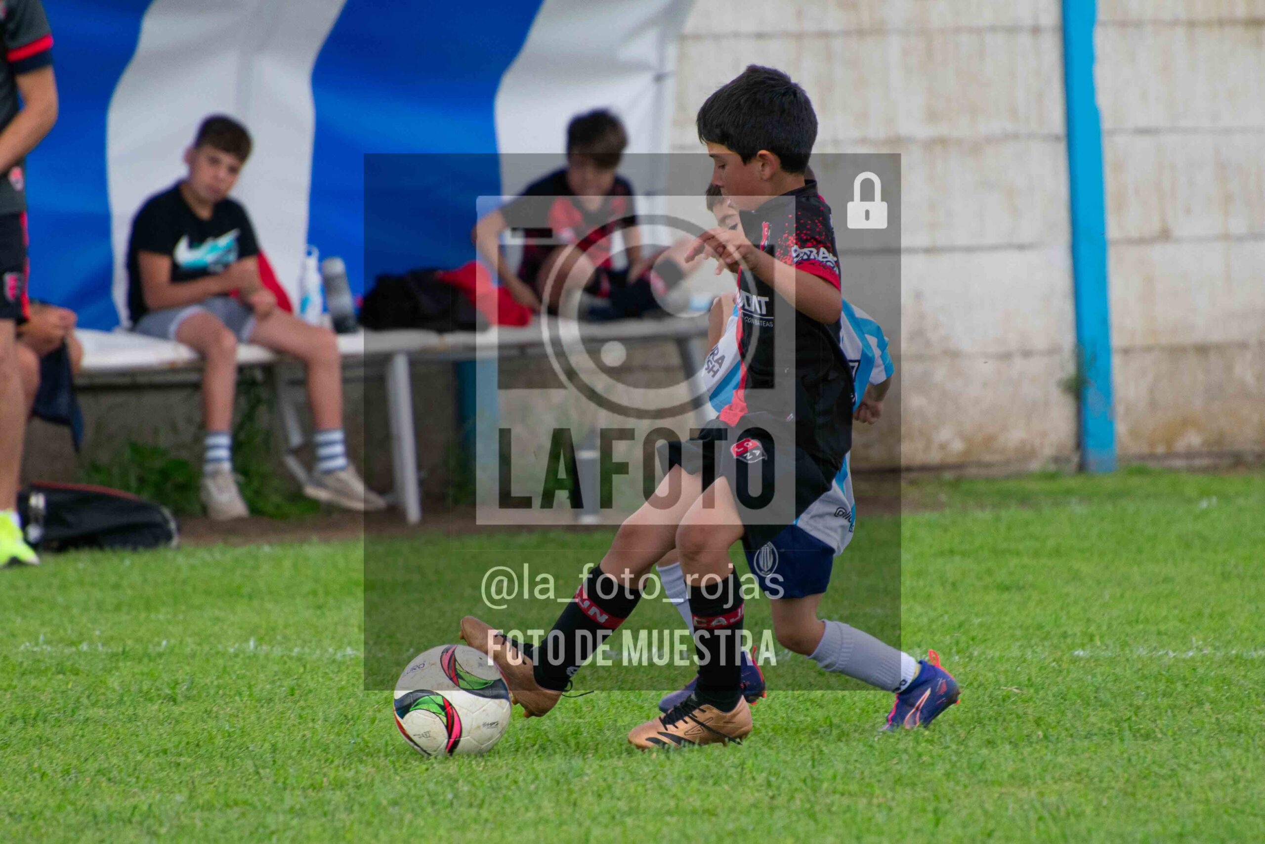Fotografía 2018-ARG-NEW-58-scaled de ARGENTINO - NEWBERY / 2018 / 8-11
